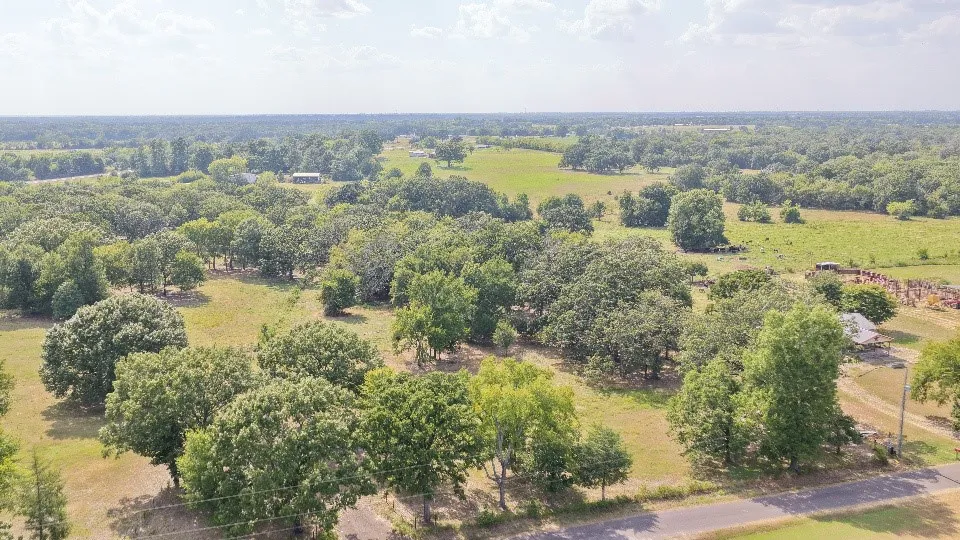 Unimproved Land For Sale in Rains County , TBD Cooper Road, Alba, Texas 75410, 0, 0, Garage spaces, 0 Sqft, built in 0, mls#21356271, Real Estate Agent in Alba, Homes For Sale in Rains county, Homes For Sale in Alba, Realtor in Alba Texas, Real Estate Brokerage Independent Realty Texas, Luminita Cordes Realtor