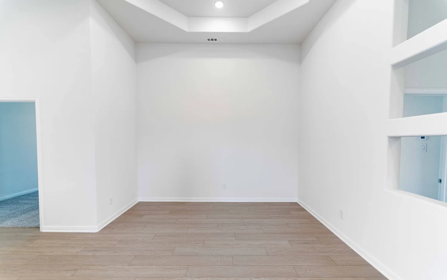 Wood-finish flooring, recessed lighting, tray ceiling, and decorative wall cut-outs