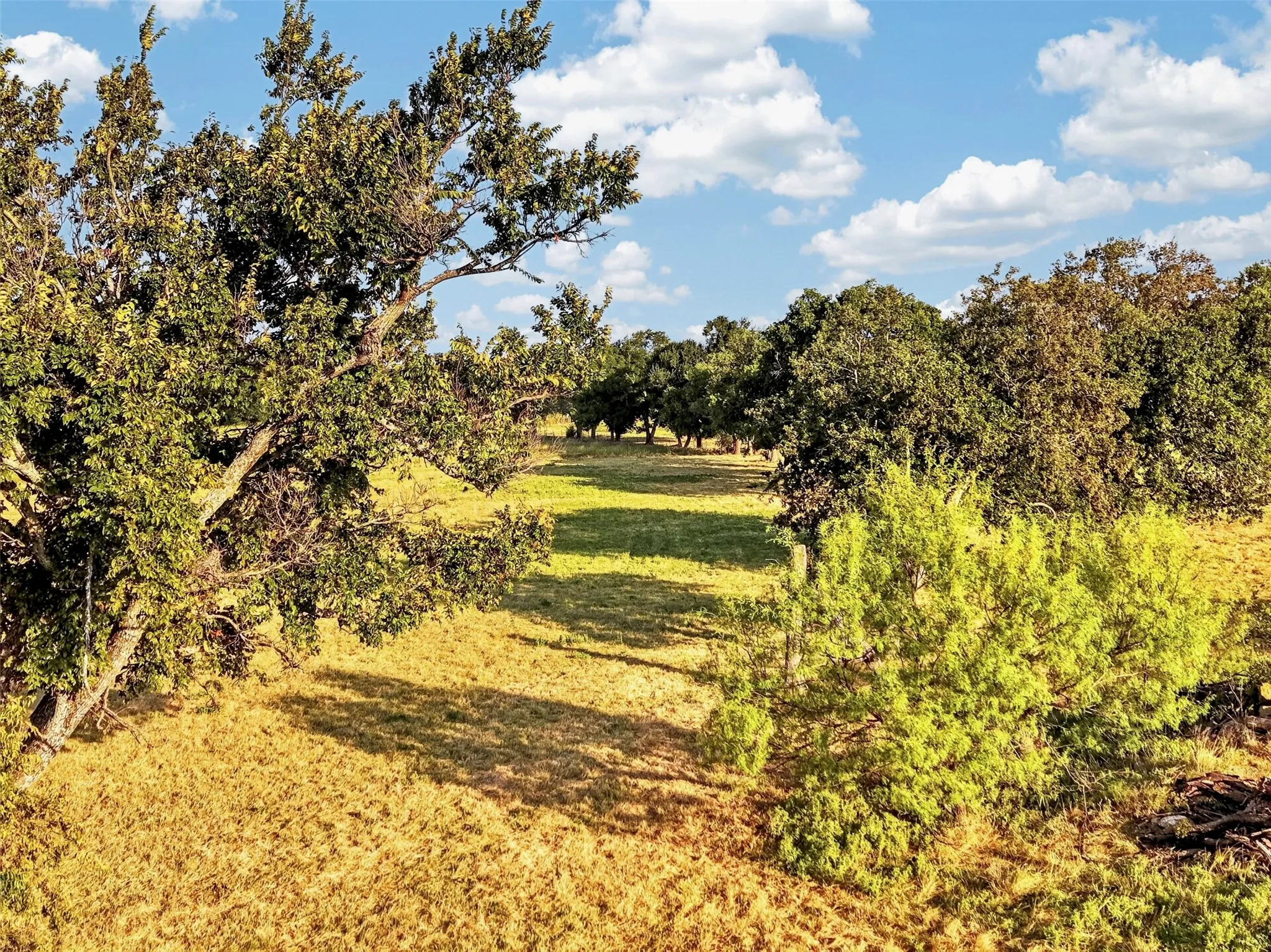 Improved Land For Sale in Denton County , 12420 US Highway 380 W, Krum, Texas 76249, 0, 0, Garage spaces, 0 Sqft, built in 0, Price $3,452,000, mls#21355868, Real Estate Agent in Krum, Homes For Sale in Denton county, Homes For Sale in Krum, Realtor in Krum Texas, Real Estate Brokerage Independent Realty Texas, Luminita Cordes Realtor