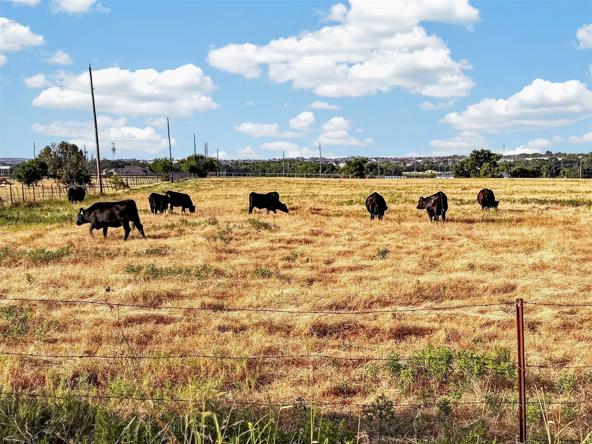 Improved Land For Sale in Denton County , 12420 US Highway 380 W, Krum, Texas 76249, 0, 0, Garage spaces, 0 Sqft, built in 0, Price $3,452,000, mls#21355868, Real Estate Agent in Krum, Homes For Sale in Denton county, Homes For Sale in Krum, Realtor in Krum Texas, Real Estate Brokerage Independent Realty Texas, Luminita Cordes Realtor