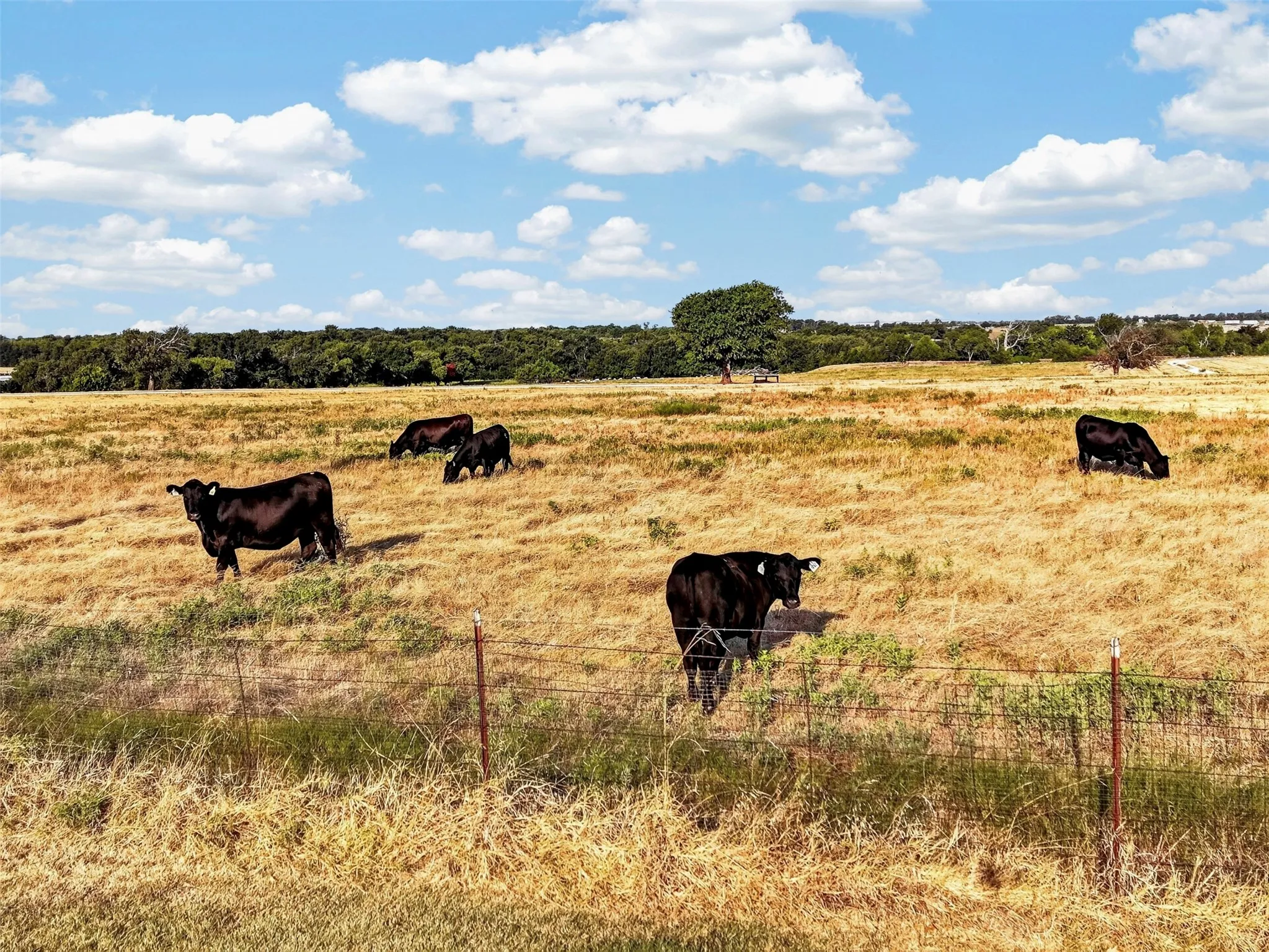 Improved Land For Sale in Denton County , 12420 US Highway 380 W, Krum, Texas 76249, 0, 0, Garage spaces, 0 Sqft, built in 0, Price $3,452,000, mls#21355868, Real Estate Agent in Krum, Homes For Sale in Denton county, Homes For Sale in Krum, Realtor in Krum Texas, Real Estate Brokerage Independent Realty Texas, Luminita Cordes Realtor