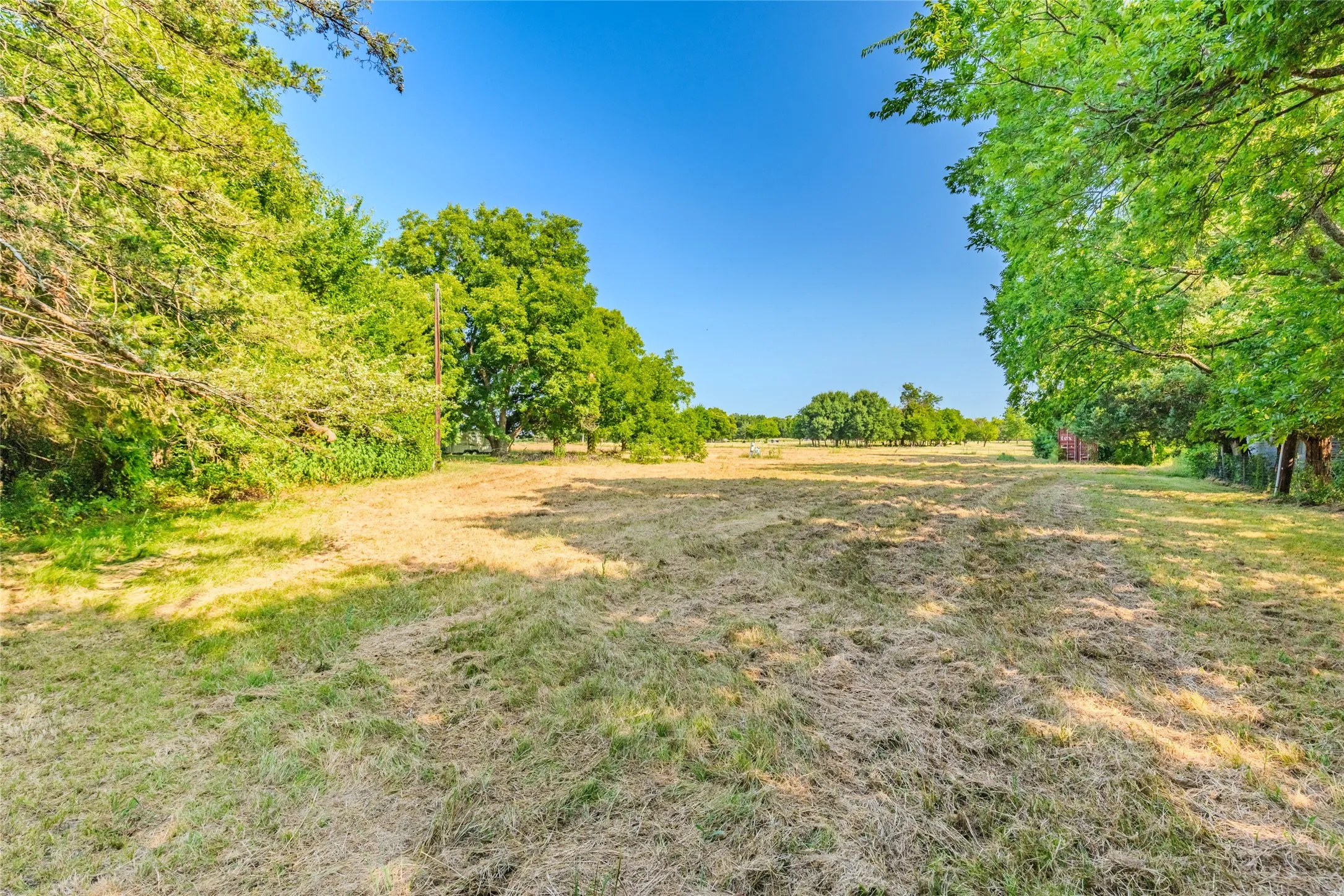 Expansive cleared acreage bordered by mature trees and natural tree lines, offering open land with established perimeter landscaping and clear sightlines across the property