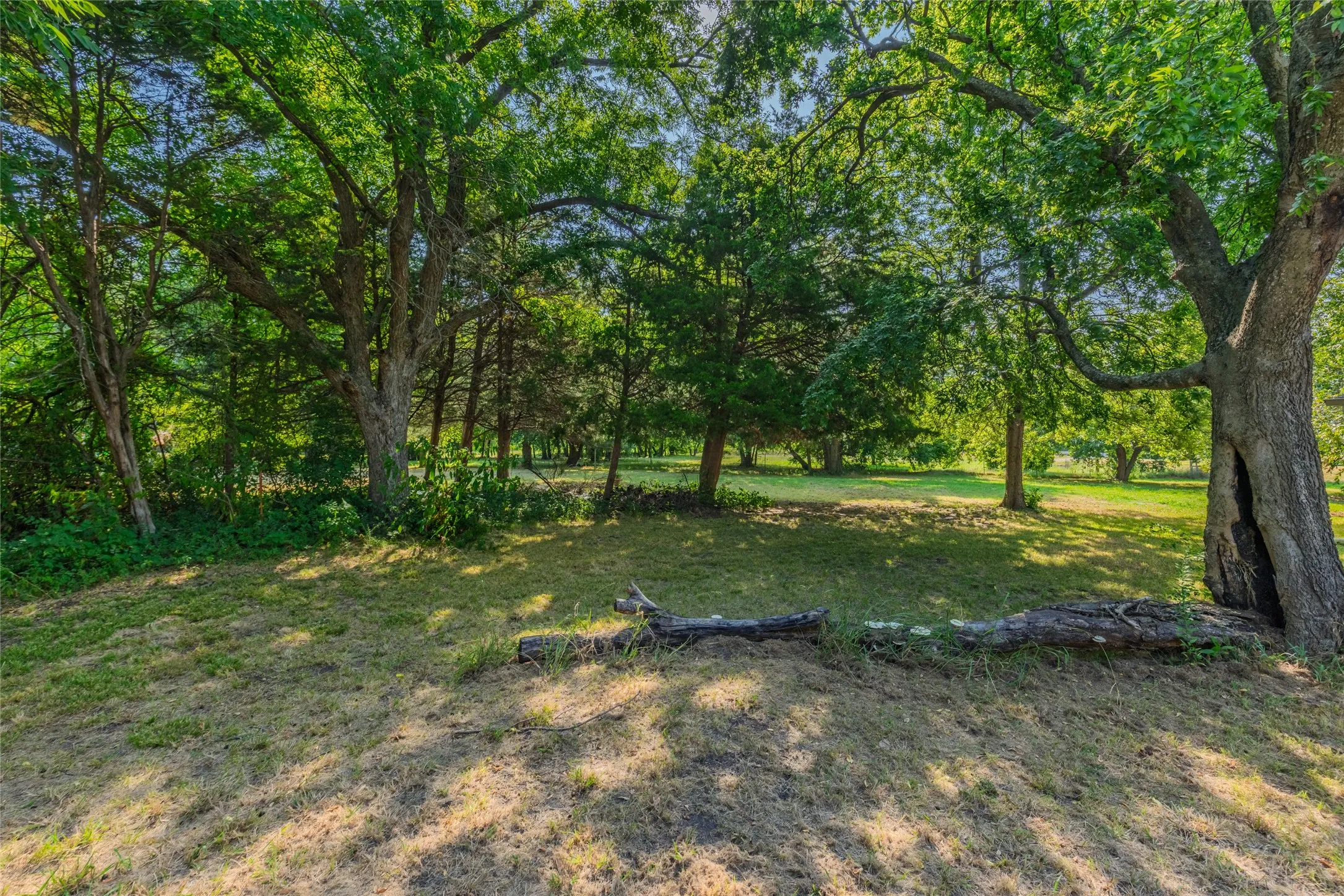 Mature tree-lined grounds featuring expansive open lawn and natural woodland canopy