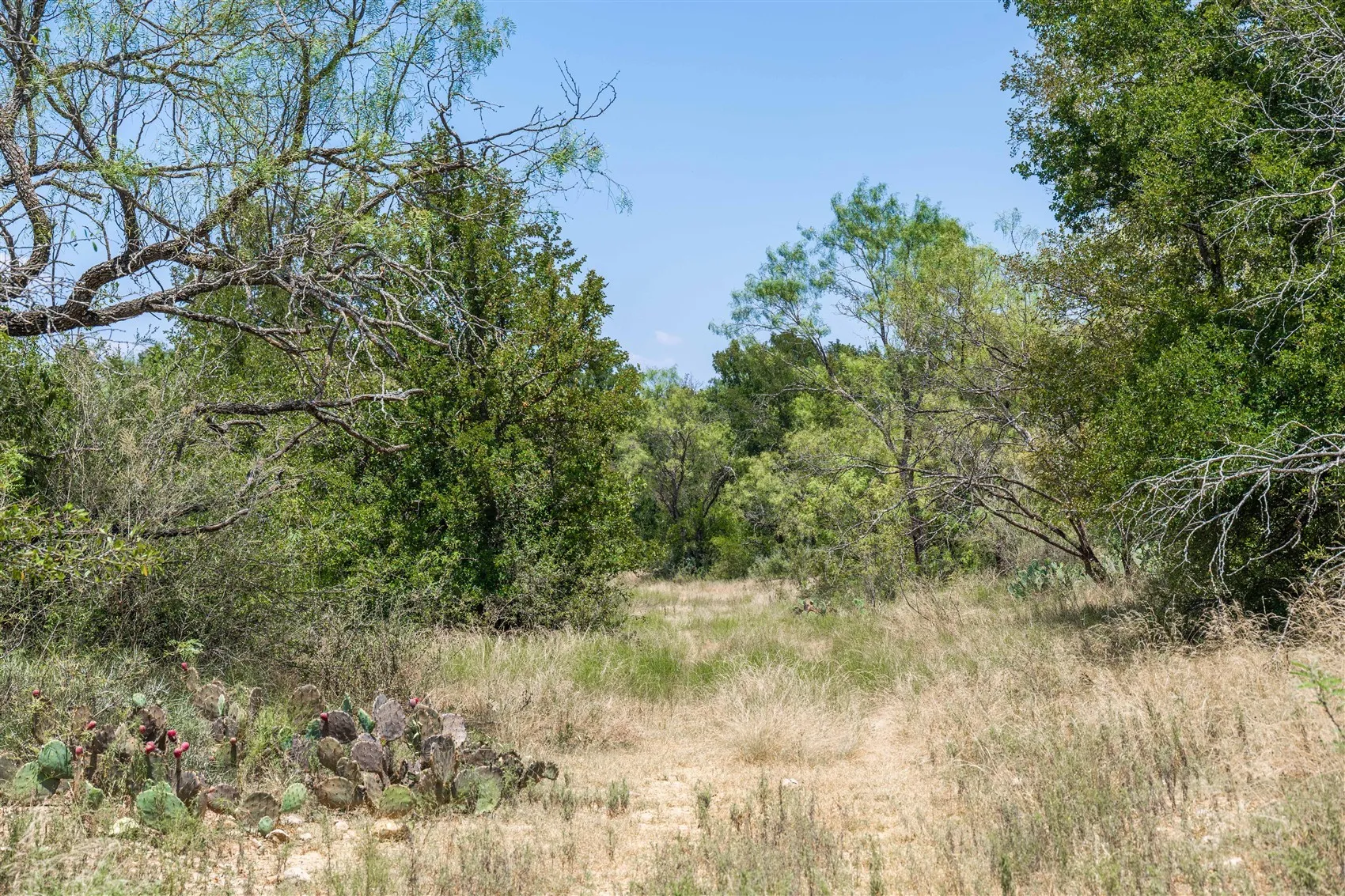 Ranch For Sale in Brown County , 3800 Forest Hill Drive, Brownwood, Texas 76801, 0, 0, Garage spaces, 0 Sqft, built in 0, mls#21355623, Real Estate Agent in Brownwood, Homes For Sale in Brown county, Homes For Sale in Brownwood, Realtor in Brownwood Texas, Real Estate Brokerage Independent Realty Texas, Luminita Cordes Realtor