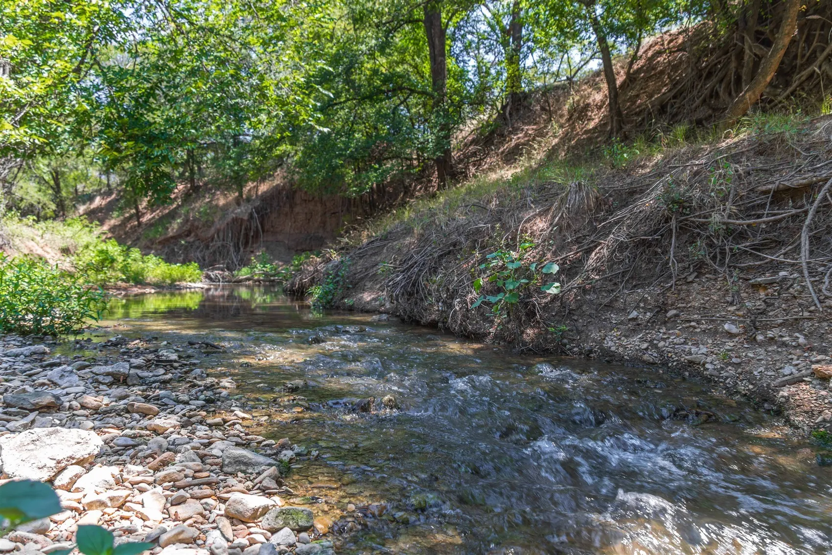 Ranch For Sale in Brown County , 3800 Forest Hill Drive, Brownwood, Texas 76801, 0, 0, Garage spaces, 0 Sqft, built in 0, mls#21355623, Real Estate Agent in Brownwood, Homes For Sale in Brown county, Homes For Sale in Brownwood, Realtor in Brownwood Texas, Real Estate Brokerage Independent Realty Texas, Luminita Cordes Realtor