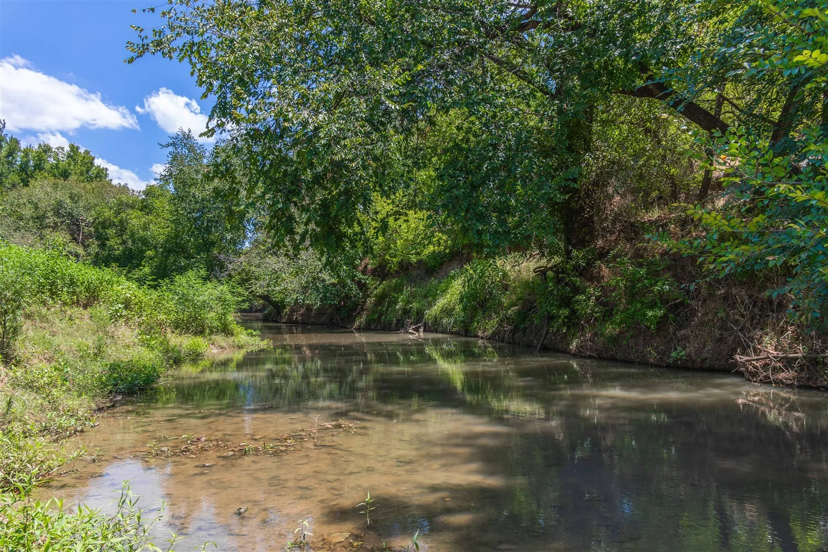 Ranch For Sale in Brown County , 3800 Forest Hill Drive, Brownwood, Texas 76801, 0, 0, Garage spaces, 0 Sqft, built in 0, mls#21355623, Real Estate Agent in Brownwood, Homes For Sale in Brown county, Homes For Sale in Brownwood, Realtor in Brownwood Texas, Real Estate Brokerage Independent Realty Texas, Luminita Cordes Realtor