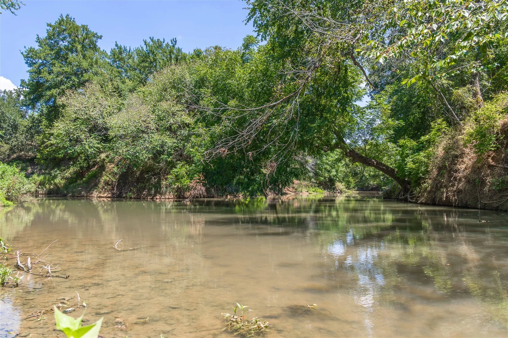 Ranch For Sale in Brown County , 3800 Forest Hill Drive, Brownwood, Texas 76801, 0, 0, Garage spaces, 0 Sqft, built in 0, mls#21355623, Real Estate Agent in Brownwood, Homes For Sale in Brown county, Homes For Sale in Brownwood, Realtor in Brownwood Texas, Real Estate Brokerage Independent Realty Texas, Luminita Cordes Realtor