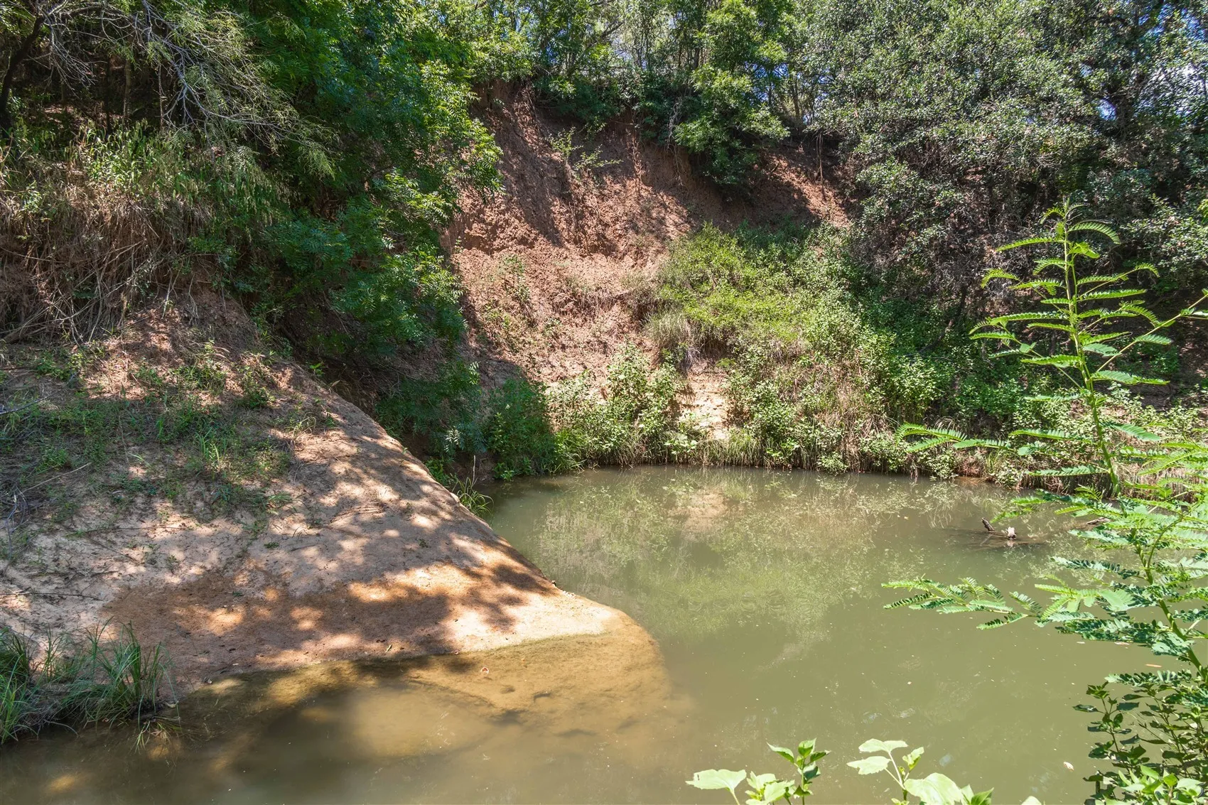 Ranch For Sale in Brown County , 3800 Forest Hill Drive, Brownwood, Texas 76801, 0, 0, Garage spaces, 0 Sqft, built in 0, mls#21355623, Real Estate Agent in Brownwood, Homes For Sale in Brown county, Homes For Sale in Brownwood, Realtor in Brownwood Texas, Real Estate Brokerage Independent Realty Texas, Luminita Cordes Realtor