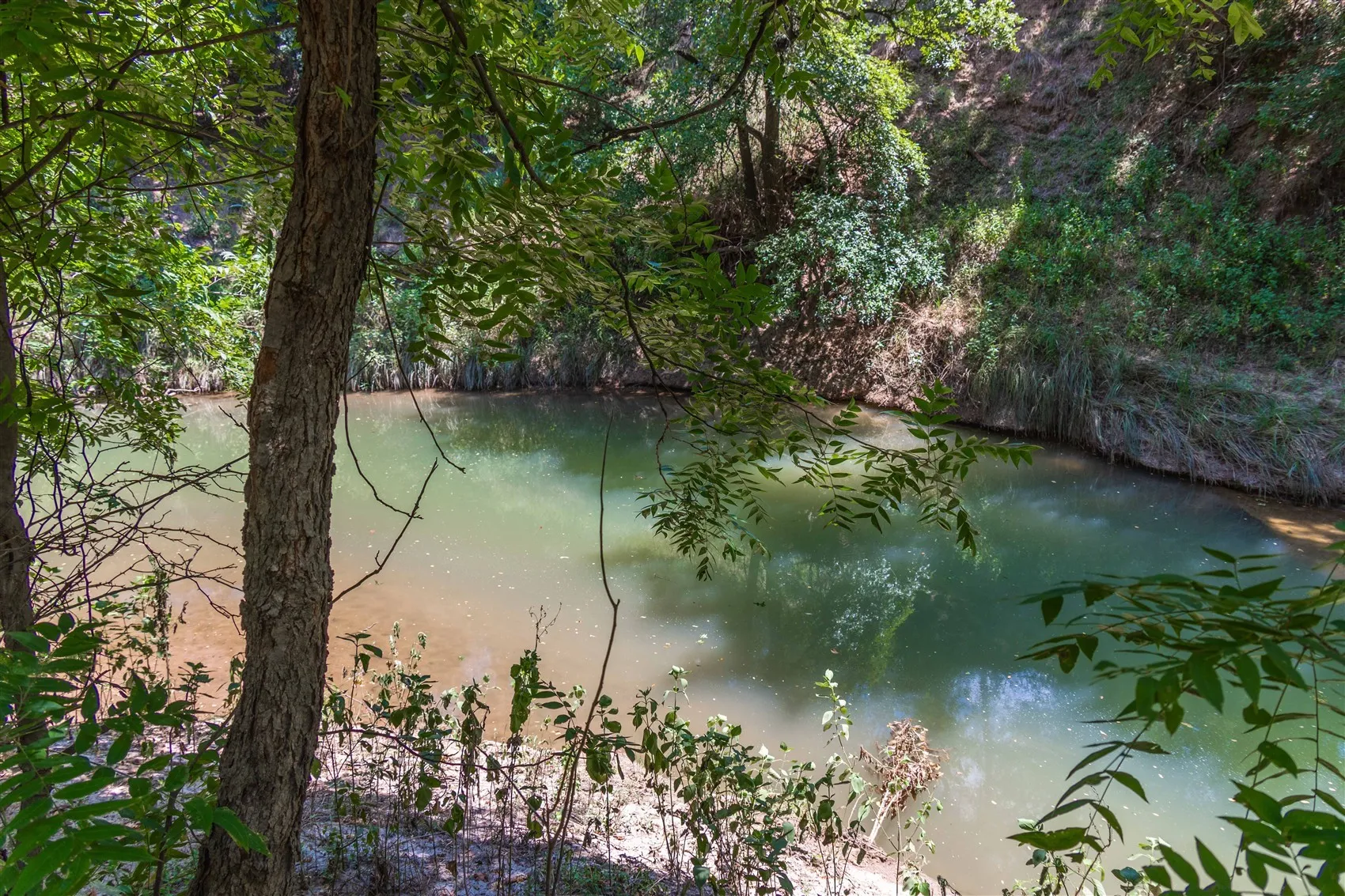 Ranch For Sale in Brown County , 3800 Forest Hill Drive, Brownwood, Texas 76801, 0, 0, Garage spaces, 0 Sqft, built in 0, mls#21355623, Real Estate Agent in Brownwood, Homes For Sale in Brown county, Homes For Sale in Brownwood, Realtor in Brownwood Texas, Real Estate Brokerage Independent Realty Texas, Luminita Cordes Realtor