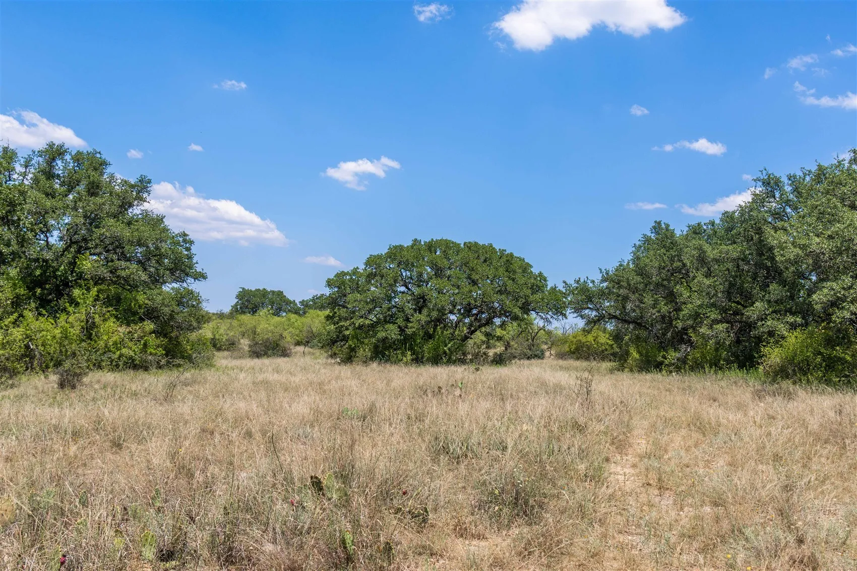 Ranch For Sale in Brown County , 3800 Forest Hill Drive, Brownwood, Texas 76801, 0, 0, Garage spaces, 0 Sqft, built in 0, mls#21355623, Real Estate Agent in Brownwood, Homes For Sale in Brown county, Homes For Sale in Brownwood, Realtor in Brownwood Texas, Real Estate Brokerage Independent Realty Texas, Luminita Cordes Realtor