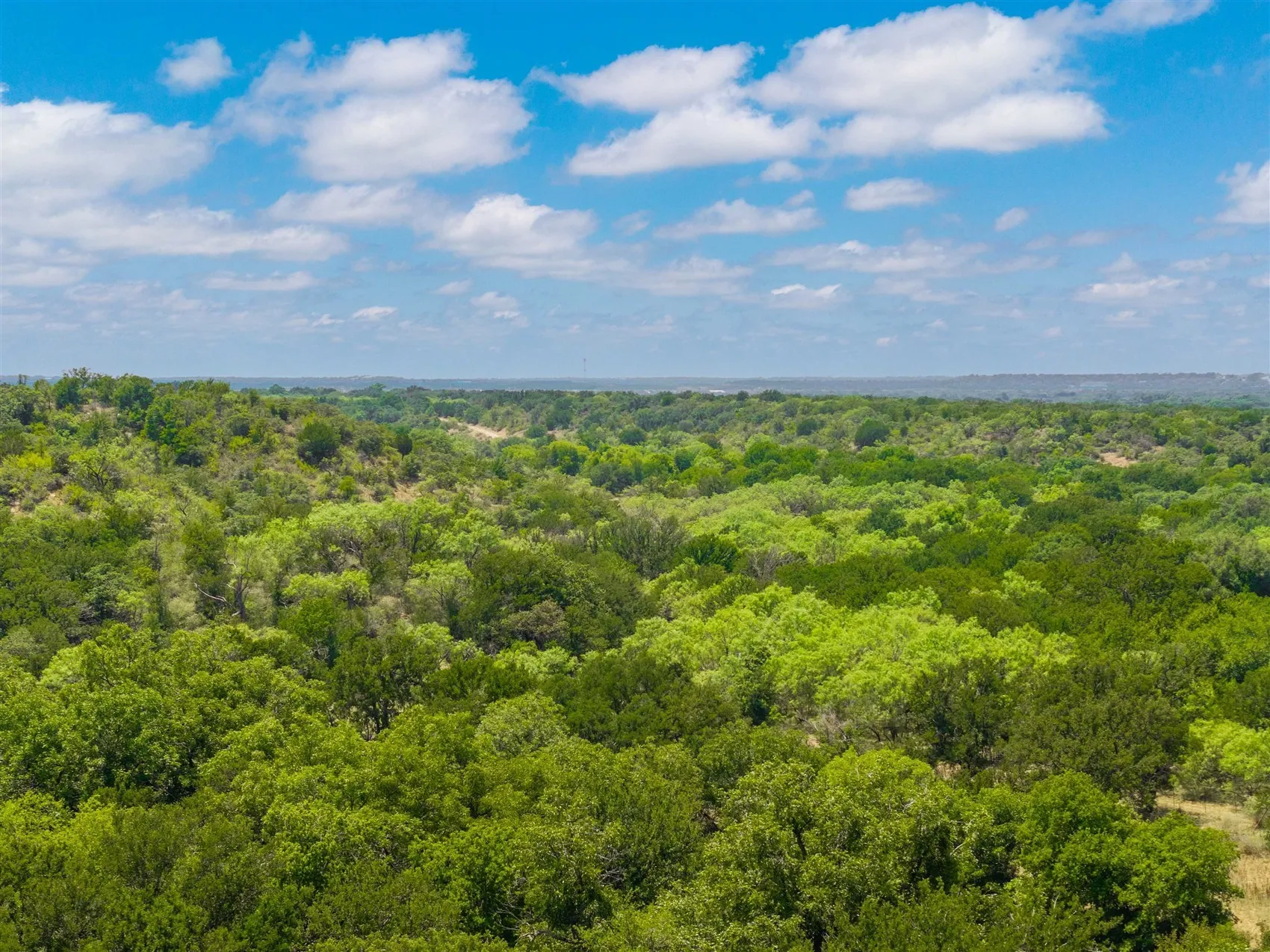 Ranch For Sale in Brown County , 3800 Forest Hill Drive, Brownwood, Texas 76801, 0, 0, Garage spaces, 0 Sqft, built in 0, mls#21355623, Real Estate Agent in Brownwood, Homes For Sale in Brown county, Homes For Sale in Brownwood, Realtor in Brownwood Texas, Real Estate Brokerage Independent Realty Texas, Luminita Cordes Realtor