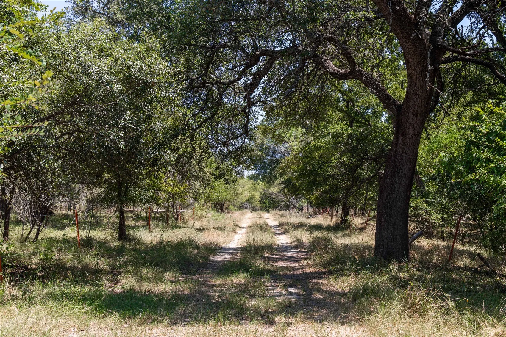 Ranch For Sale in Brown County , 3800 Forest Hill Drive, Brownwood, Texas 76801, 0, 0, Garage spaces, 0 Sqft, built in 0, mls#21355623, Real Estate Agent in Brownwood, Homes For Sale in Brown county, Homes For Sale in Brownwood, Realtor in Brownwood Texas, Real Estate Brokerage Independent Realty Texas, Luminita Cordes Realtor