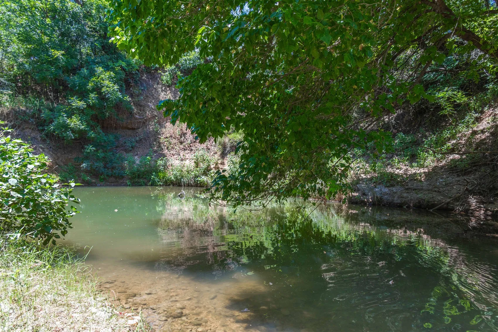 Ranch For Sale in Brown County , 3800 Forest Hill Drive, Brownwood, Texas 76801, 0, 0, Garage spaces, 0 Sqft, built in 0, mls#21355623, Real Estate Agent in Brownwood, Homes For Sale in Brown county, Homes For Sale in Brownwood, Realtor in Brownwood Texas, Real Estate Brokerage Independent Realty Texas, Luminita Cordes Realtor