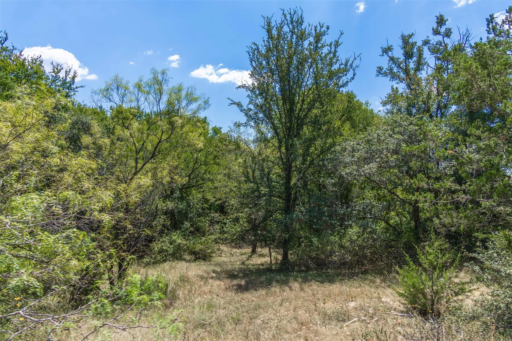 Ranch For Sale in Brown County , 3800 Forest Hill Drive, Brownwood, Texas 76801, 0, 0, Garage spaces, 0 Sqft, built in 0, mls#21355623, Real Estate Agent in Brownwood, Homes For Sale in Brown county, Homes For Sale in Brownwood, Realtor in Brownwood Texas, Real Estate Brokerage Independent Realty Texas, Luminita Cordes Realtor
