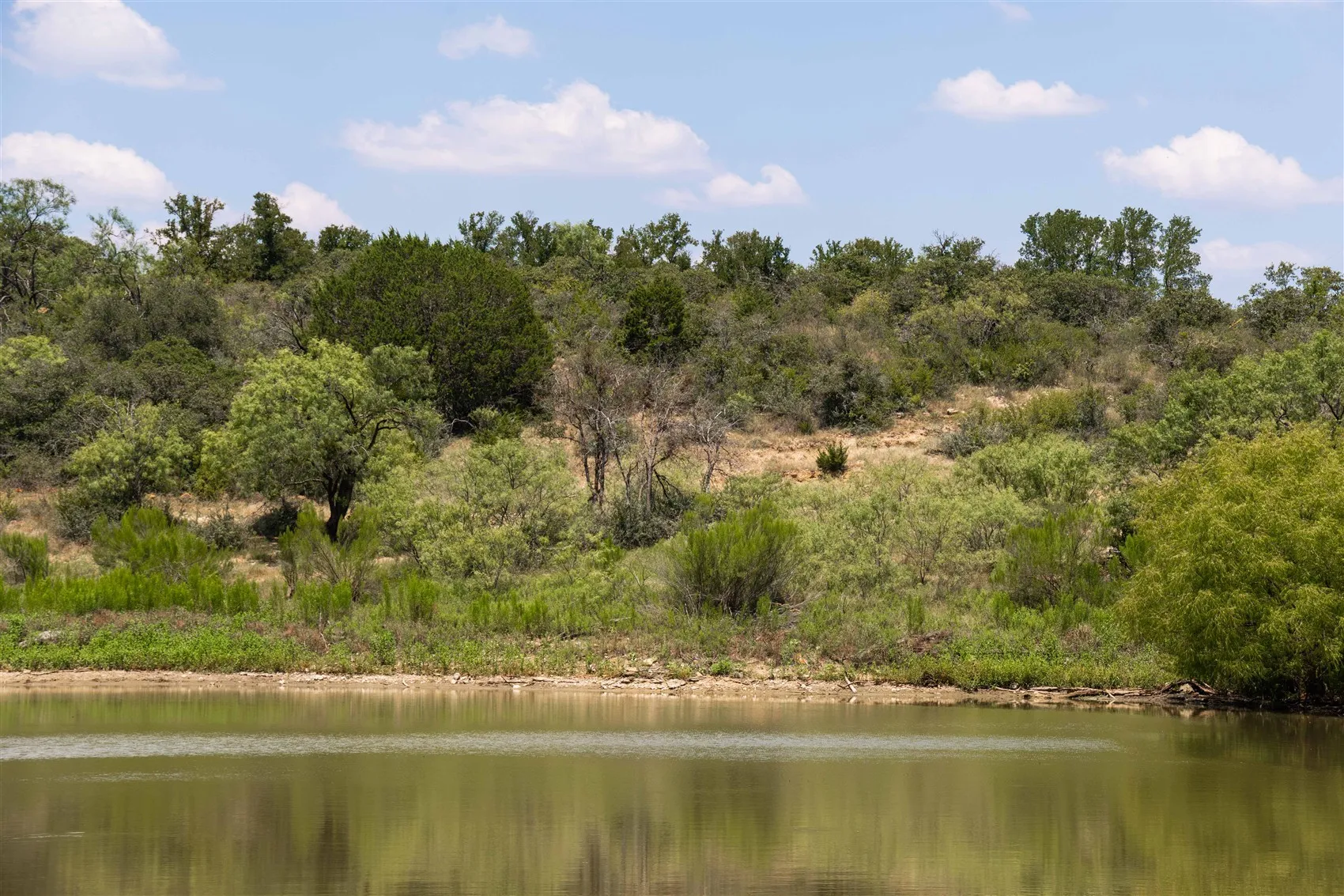 Ranch For Sale in Brown County , 3800 Forest Hill Drive, Brownwood, Texas 76801, 0, 0, Garage spaces, 0 Sqft, built in 0, mls#21355623, Real Estate Agent in Brownwood, Homes For Sale in Brown county, Homes For Sale in Brownwood, Realtor in Brownwood Texas, Real Estate Brokerage Independent Realty Texas, Luminita Cordes Realtor