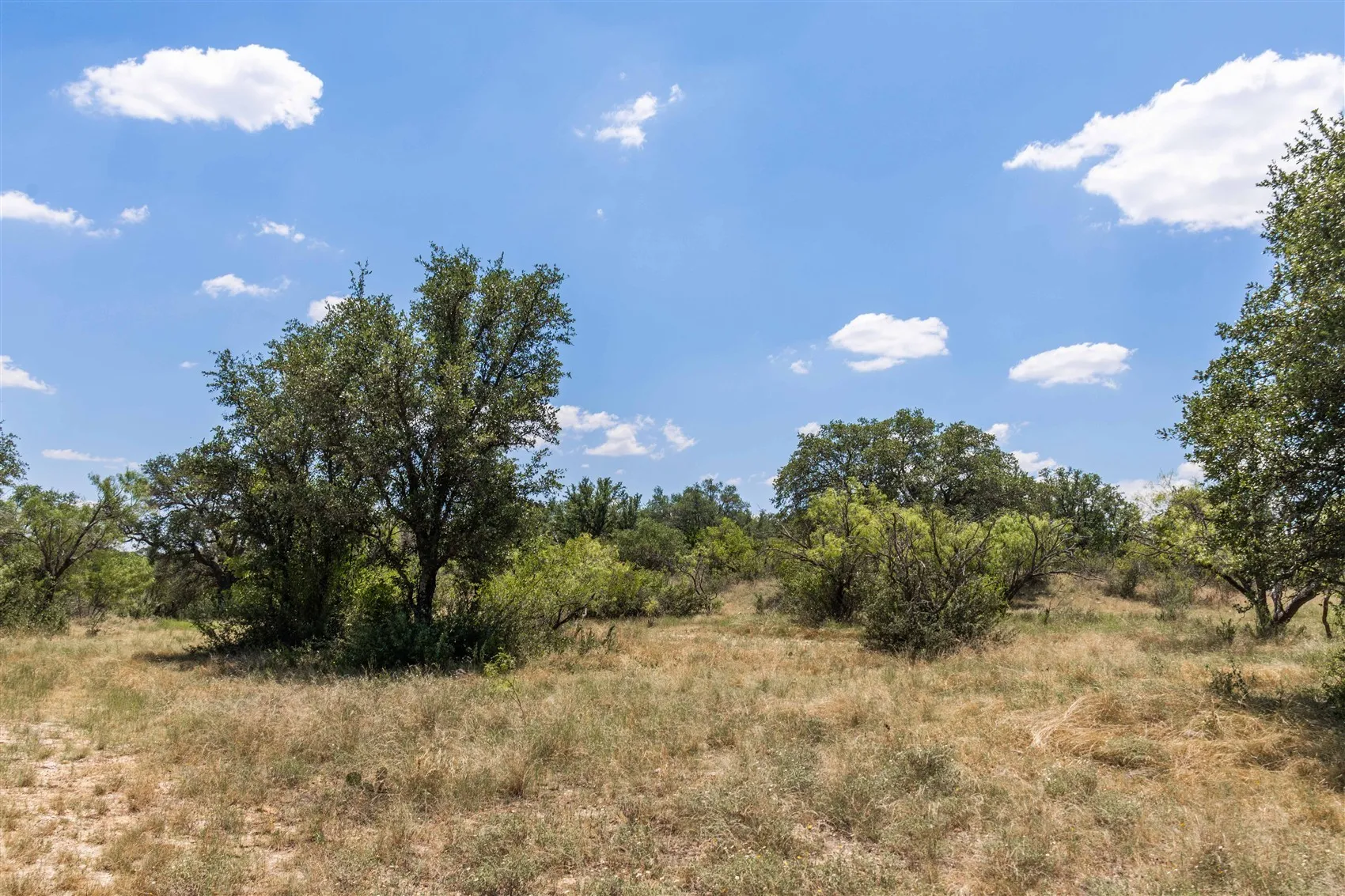 Ranch For Sale in Brown County , 3800 Forest Hill Drive, Brownwood, Texas 76801, 0, 0, Garage spaces, 0 Sqft, built in 0, mls#21355623, Real Estate Agent in Brownwood, Homes For Sale in Brown county, Homes For Sale in Brownwood, Realtor in Brownwood Texas, Real Estate Brokerage Independent Realty Texas, Luminita Cordes Realtor