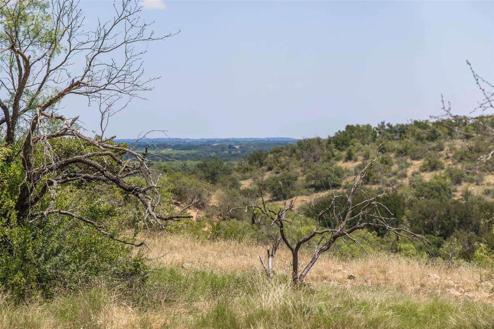 Ranch For Sale in Brown County , 3800 Forest Hill Drive, Brownwood, Texas 76801, 0, 0, Garage spaces, 0 Sqft, built in 0, mls#21355623, Real Estate Agent in Brownwood, Homes For Sale in Brown county, Homes For Sale in Brownwood, Realtor in Brownwood Texas, Real Estate Brokerage Independent Realty Texas, Luminita Cordes Realtor