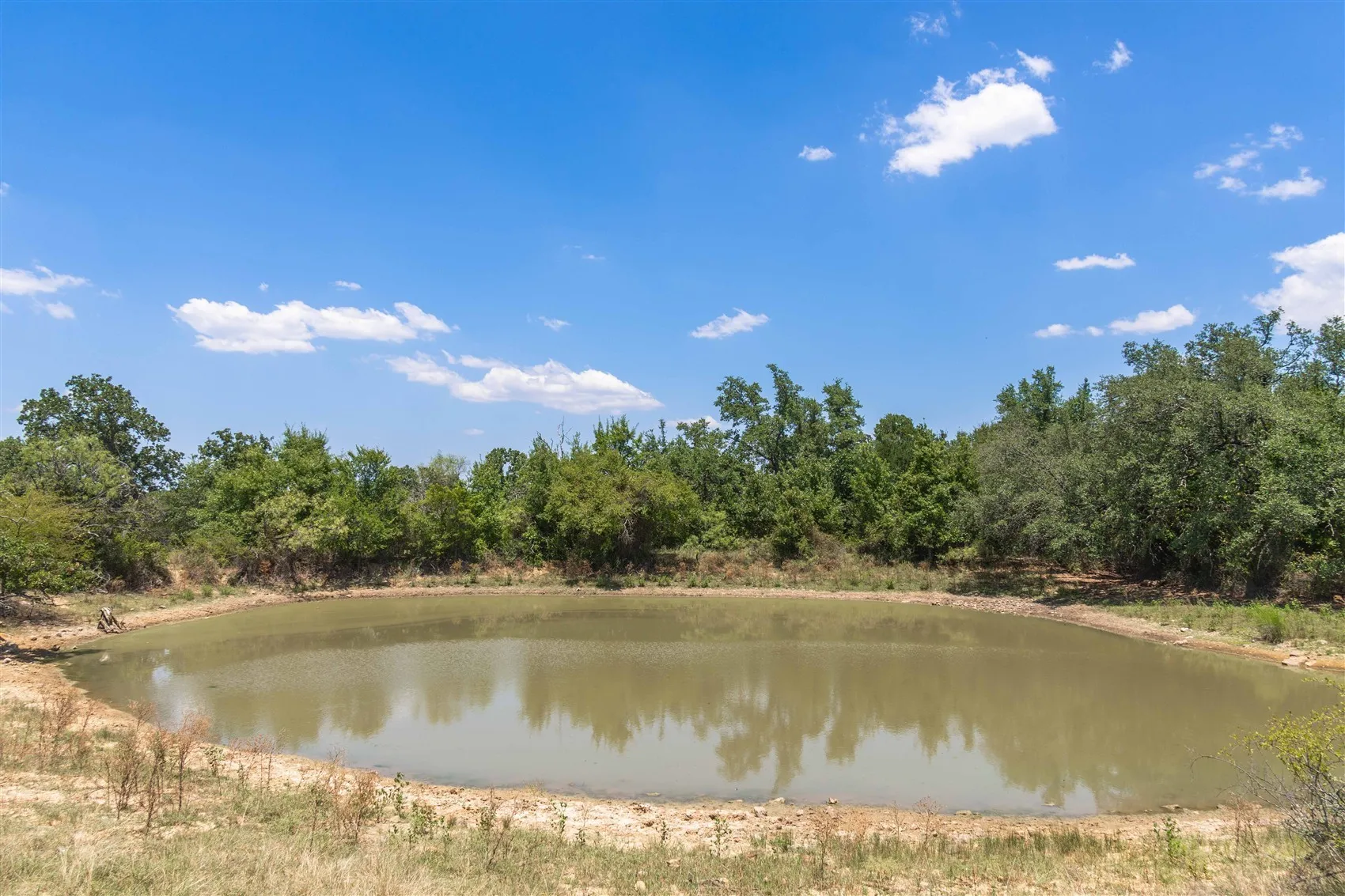 Ranch For Sale in Brown County , 3800 Forest Hill Drive, Brownwood, Texas 76801, 0, 0, Garage spaces, 0 Sqft, built in 0, mls#21355623, Real Estate Agent in Brownwood, Homes For Sale in Brown county, Homes For Sale in Brownwood, Realtor in Brownwood Texas, Real Estate Brokerage Independent Realty Texas, Luminita Cordes Realtor