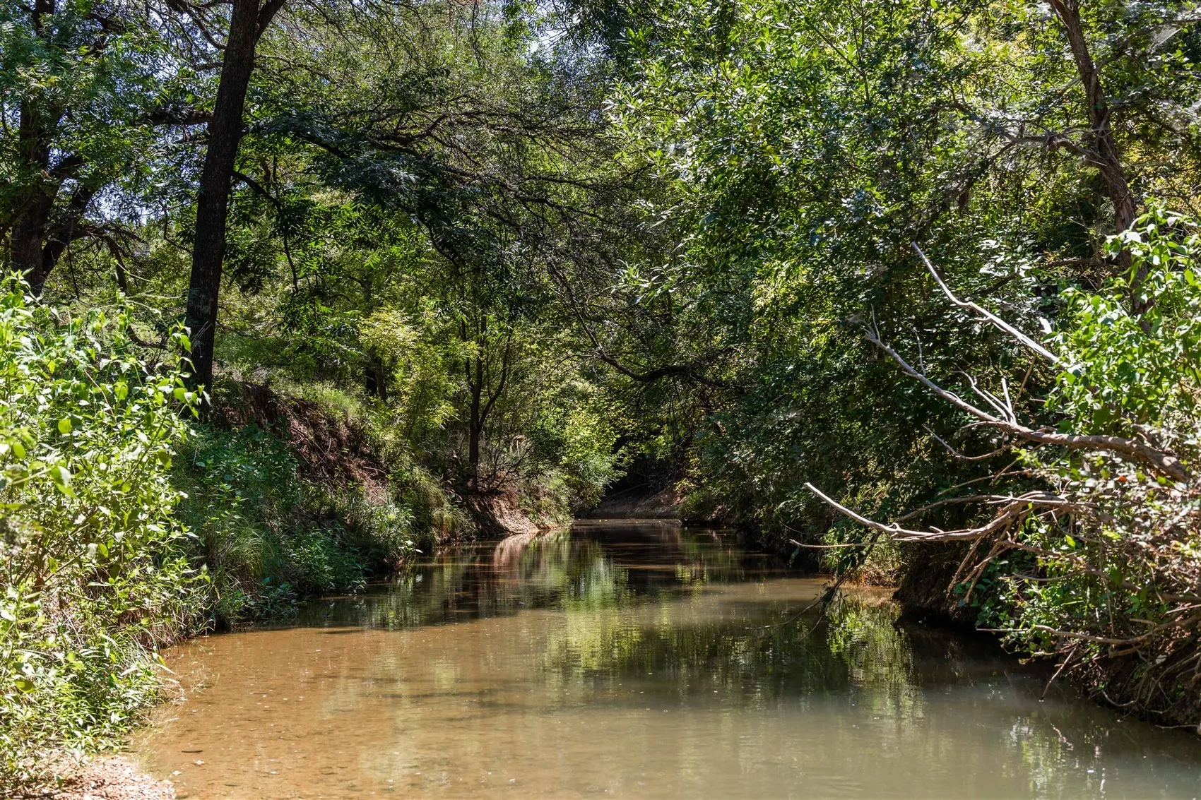 Ranch For Sale in Brown County , 3800 Forest Hill Drive, Brownwood, Texas 76801, 0, 0, Garage spaces, 0 Sqft, built in 0, mls#21355623, Real Estate Agent in Brownwood, Homes For Sale in Brown county, Homes For Sale in Brownwood, Realtor in Brownwood Texas, Real Estate Brokerage Independent Realty Texas, Luminita Cordes Realtor