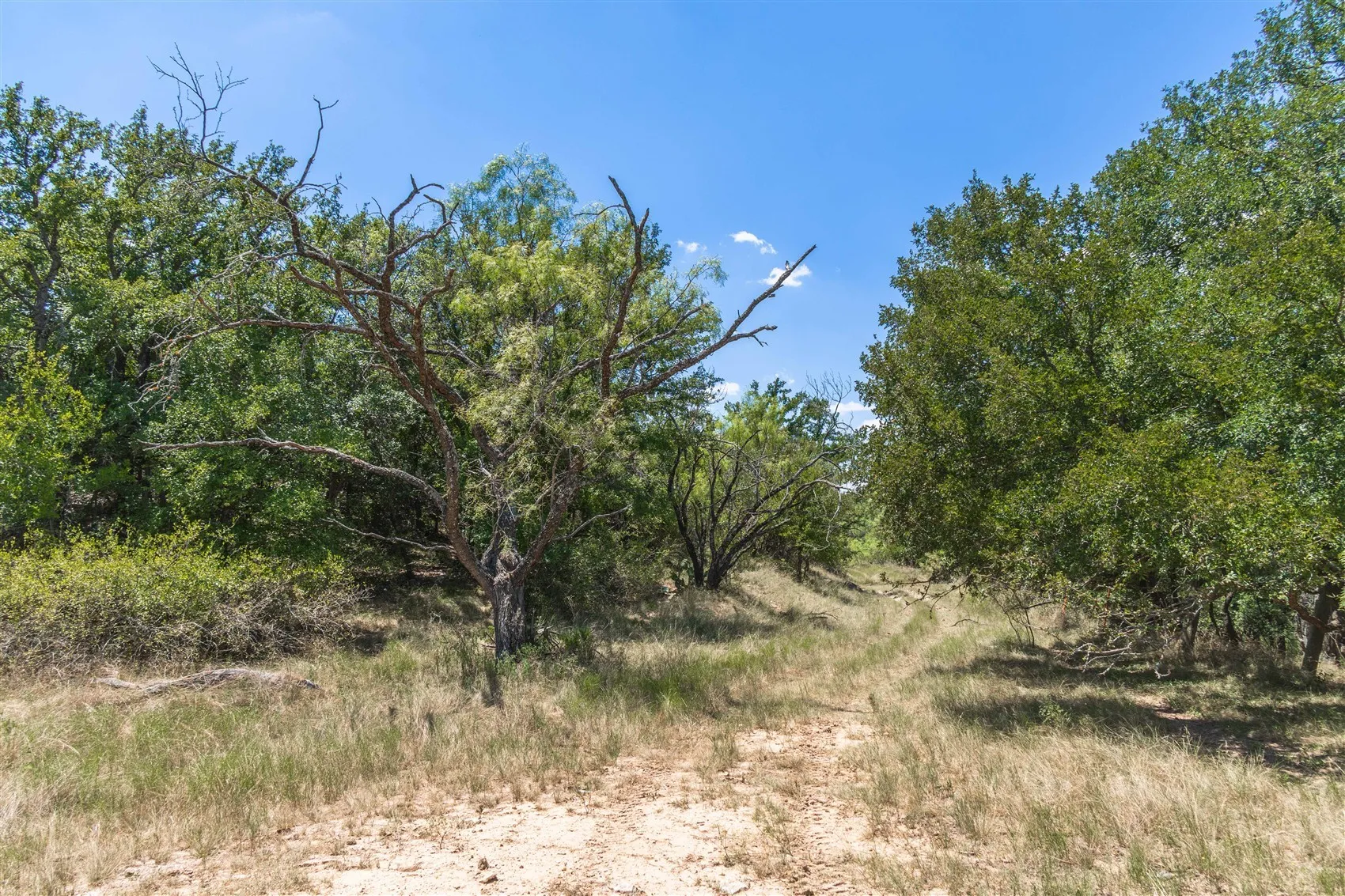 Ranch For Sale in Brown County , 3800 Forest Hill Drive, Brownwood, Texas 76801, 0, 0, Garage spaces, 0 Sqft, built in 0, mls#21355623, Real Estate Agent in Brownwood, Homes For Sale in Brown county, Homes For Sale in Brownwood, Realtor in Brownwood Texas, Real Estate Brokerage Independent Realty Texas, Luminita Cordes Realtor