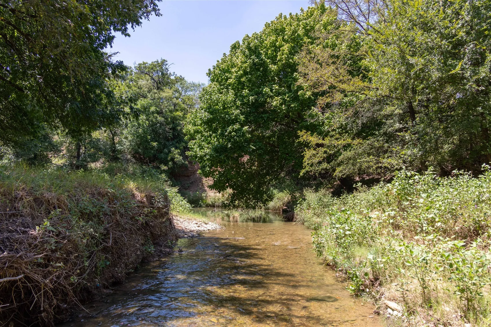Ranch For Sale in Brown County , 3800 Forest Hill Drive, Brownwood, Texas 76801, 0, 0, Garage spaces, 0 Sqft, built in 0, mls#21355623, Real Estate Agent in Brownwood, Homes For Sale in Brown county, Homes For Sale in Brownwood, Realtor in Brownwood Texas, Real Estate Brokerage Independent Realty Texas, Luminita Cordes Realtor