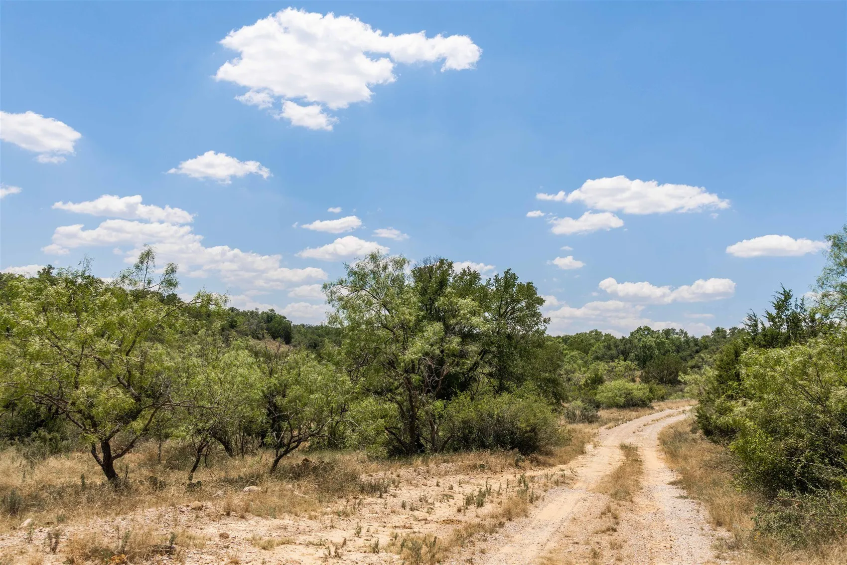 Ranch For Sale in Brown County , 3800 Forest Hill Drive, Brownwood, Texas 76801, 0, 0, Garage spaces, 0 Sqft, built in 0, mls#21355623, Real Estate Agent in Brownwood, Homes For Sale in Brown county, Homes For Sale in Brownwood, Realtor in Brownwood Texas, Real Estate Brokerage Independent Realty Texas, Luminita Cordes Realtor