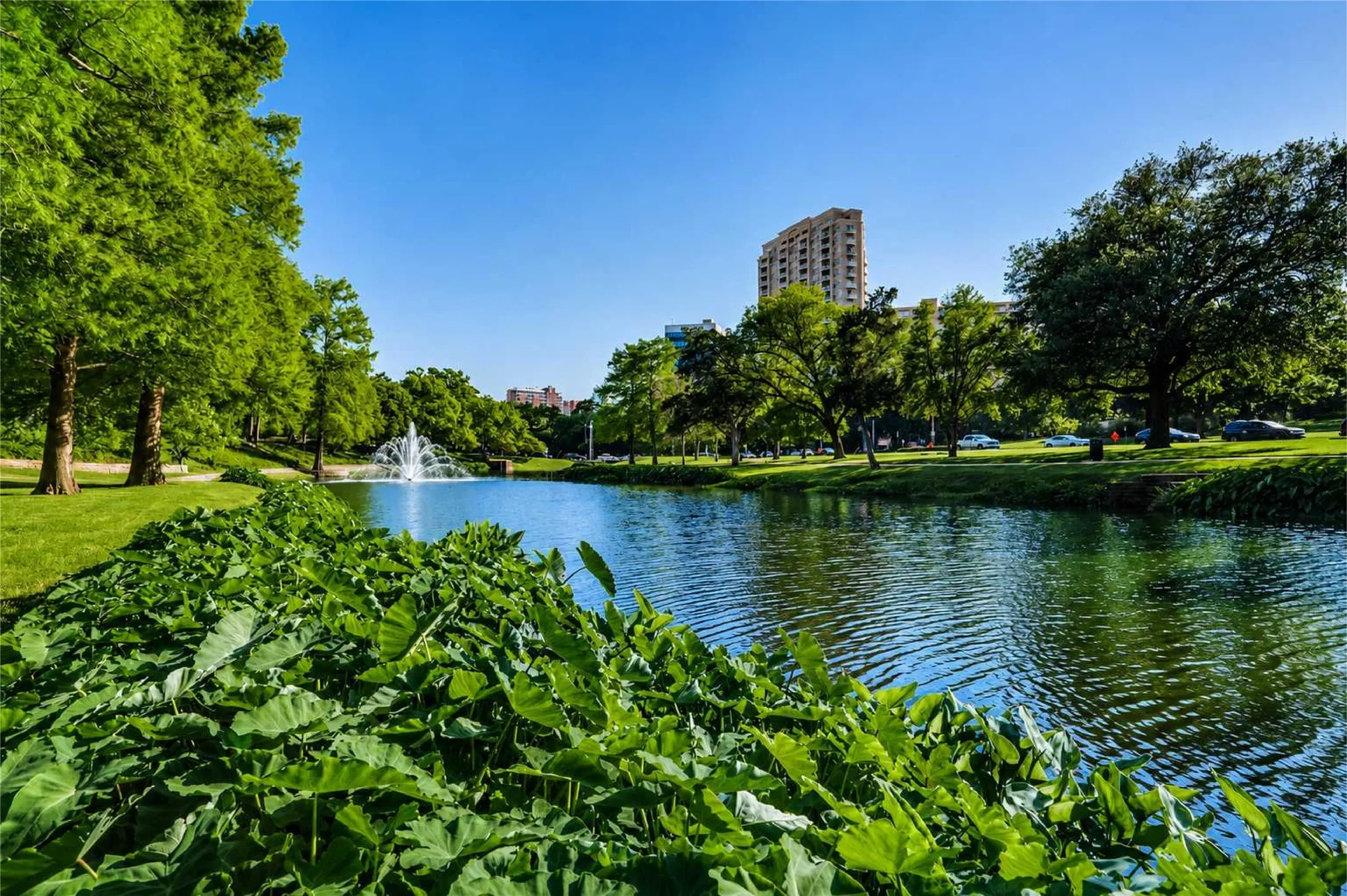 Turtle Creek & Turtle Creek Park - Walking distance from The Wyndemere