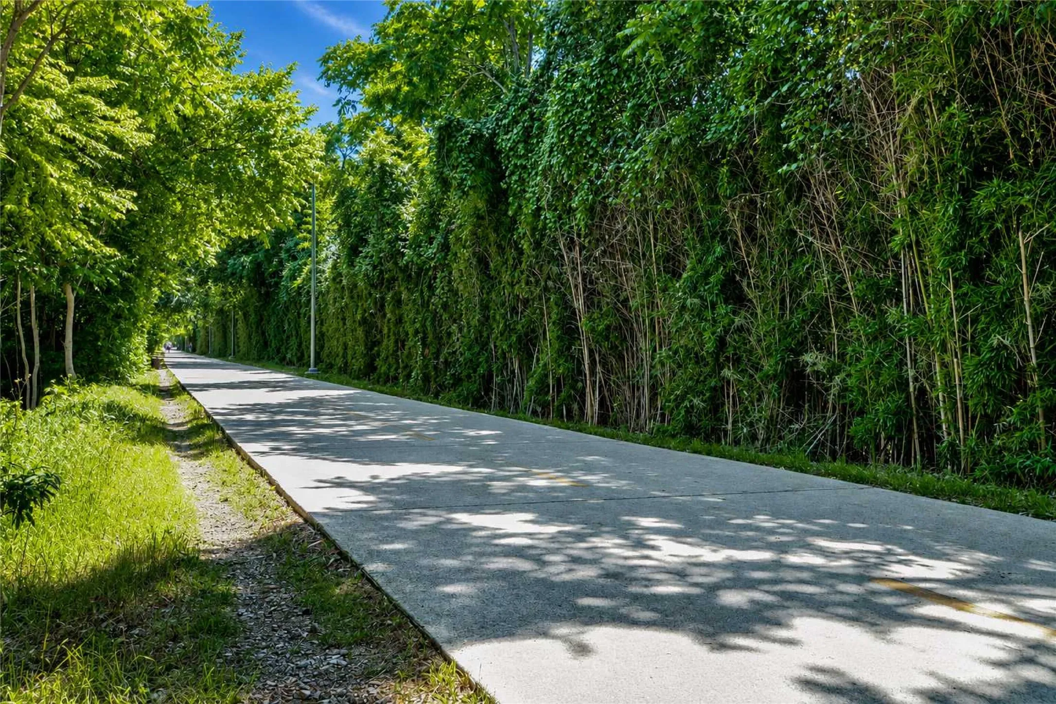 The Katy Trail - Walking distance from The Wyndemere