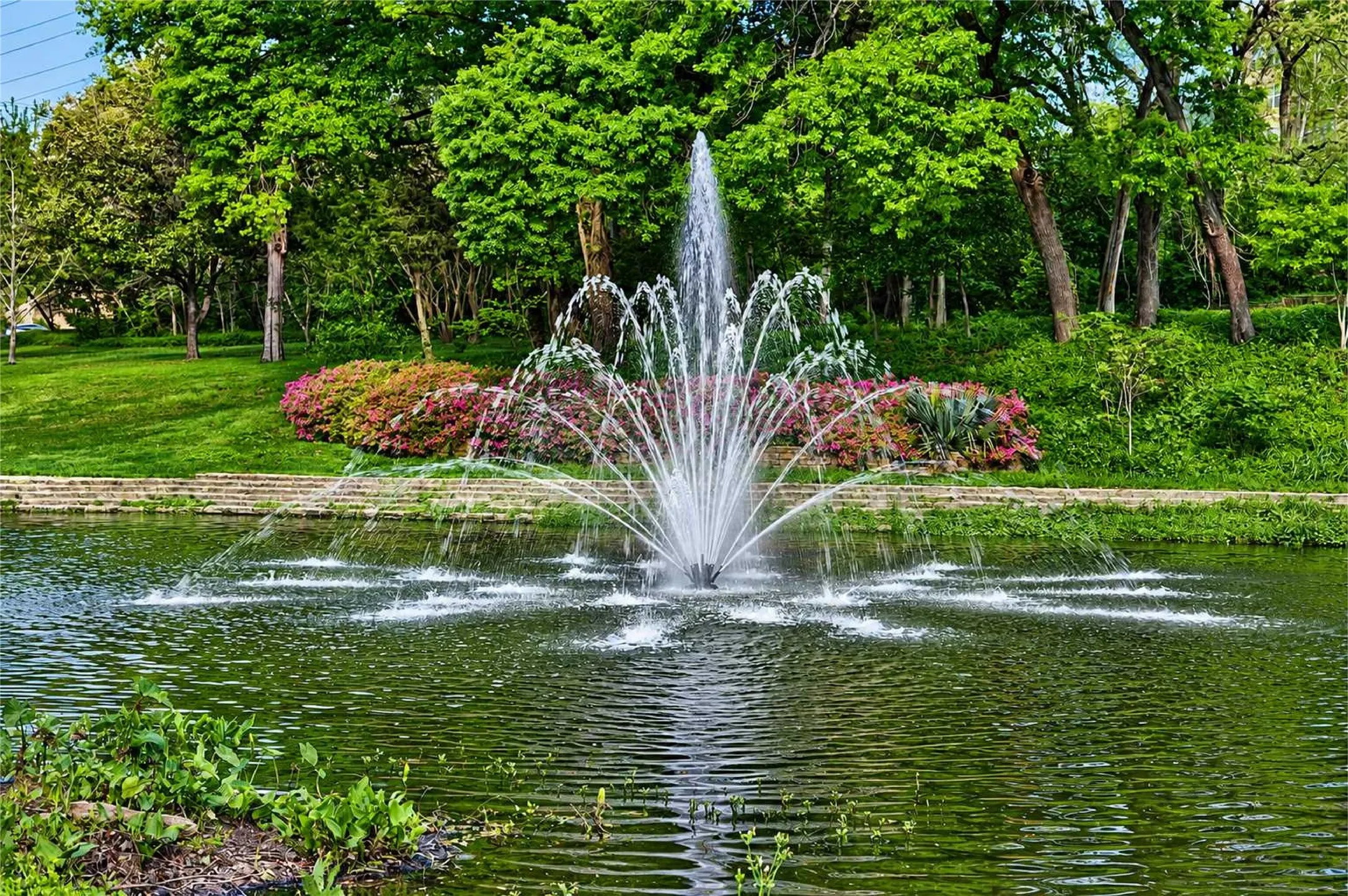 Turtle Creek & Turtle Creek Park - Walking distance from The Wyndemere