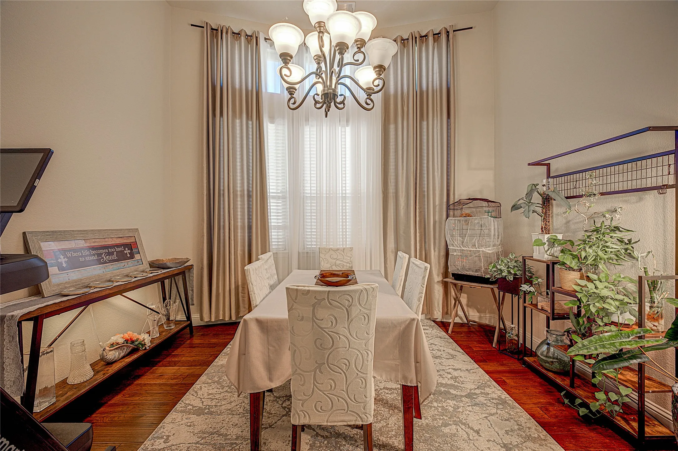Hardwood flooring, corner window with blinds and drapes, and a chandelier with glass shades