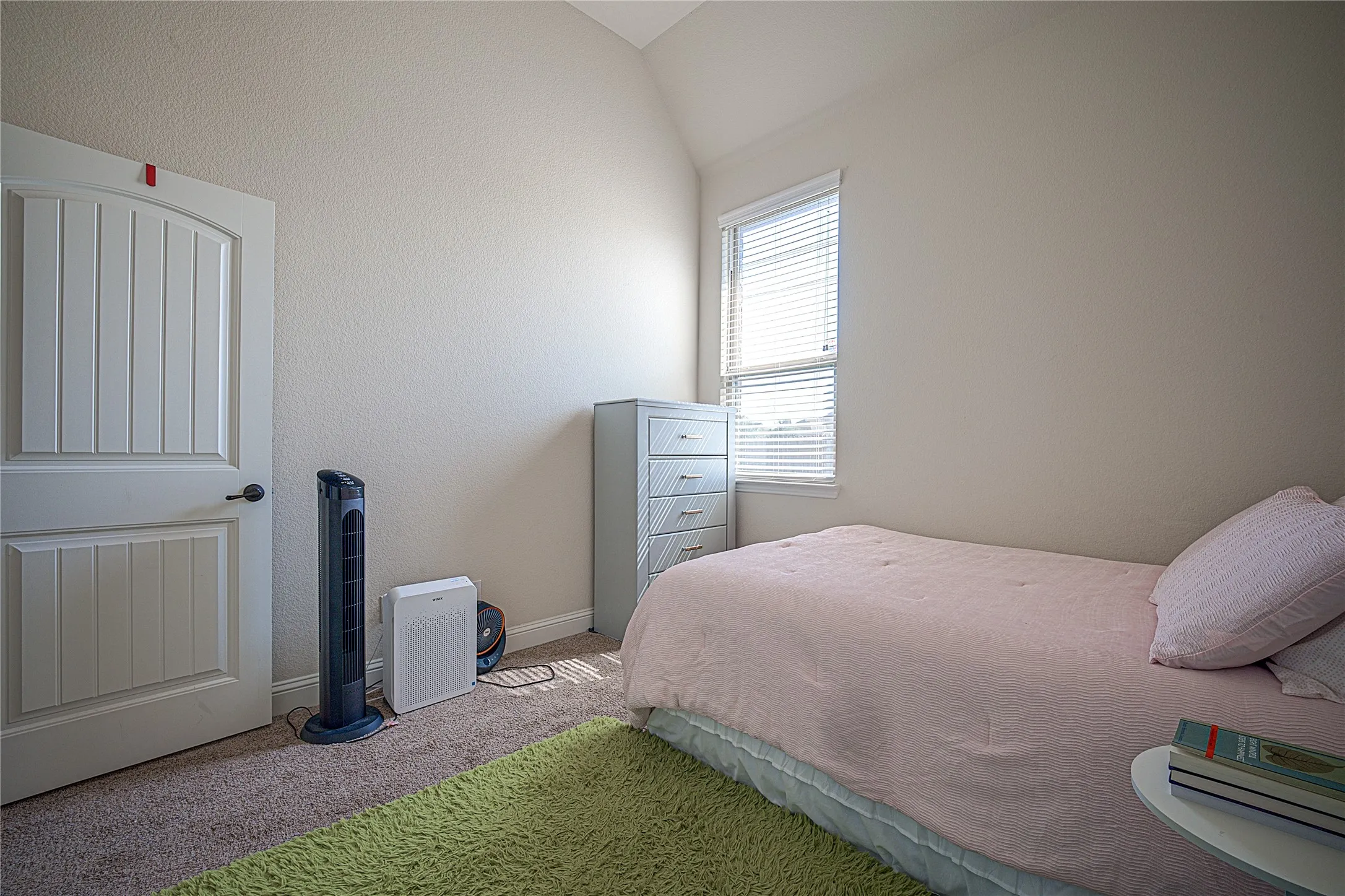 Carpeted flooring with light-toned walls, a window with horizontal blinds, and a paneled door with an arched top