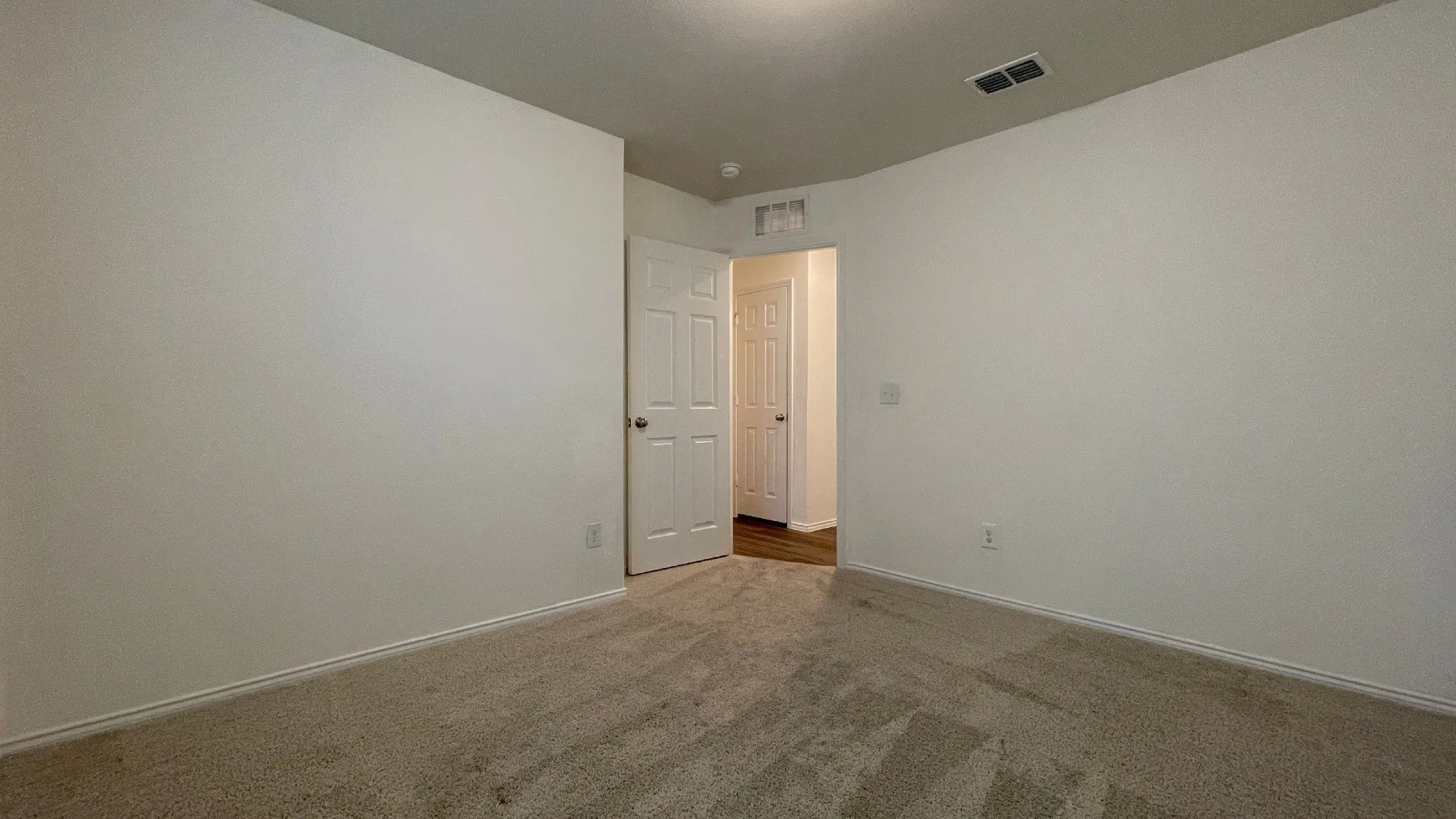 Spacious bedroom with neutral wall finishes, carpeted flooring, and dual closet access