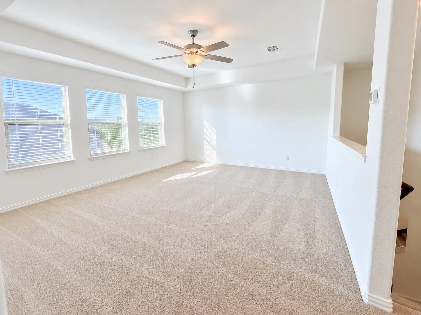 Spacious room with neutral carpeting, three large windows with blinds, a tray ceiling, and a ceiling fan