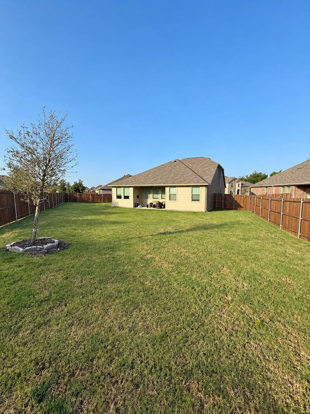 Expansive backyard featuring a manicured lawn, established tree, and full privacy fencing