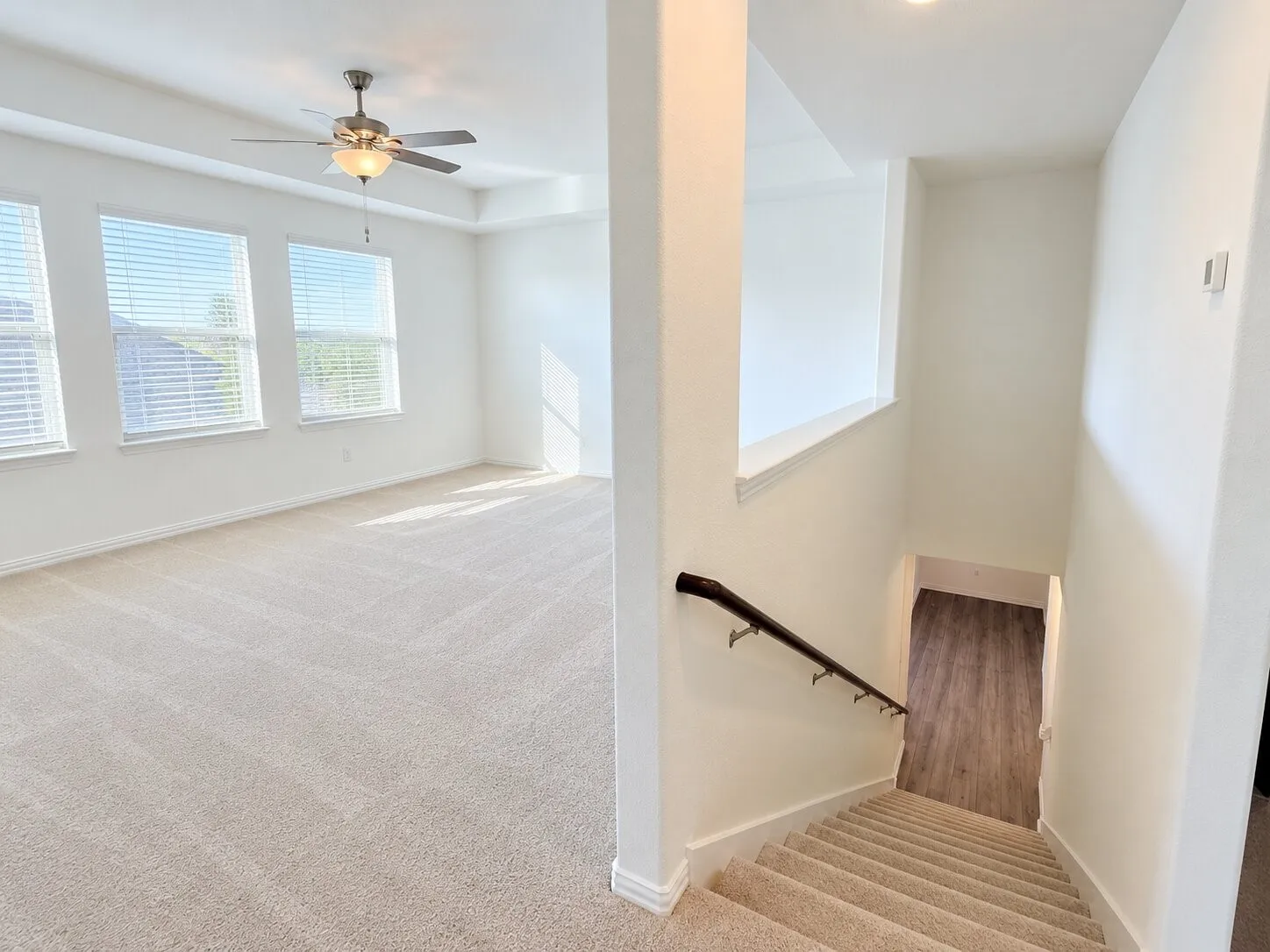 Spacious room with plush carpeting, three large windows, a tray ceiling, and a ceiling fan