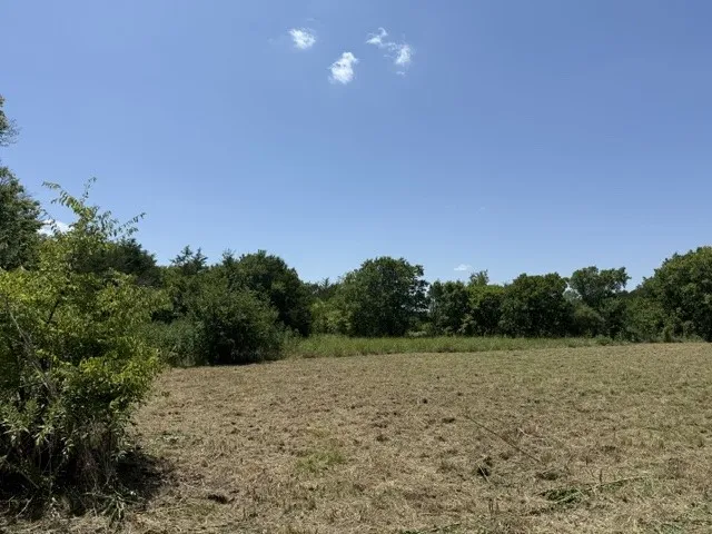 Expansive field with a mown surface, bordered by mature trees