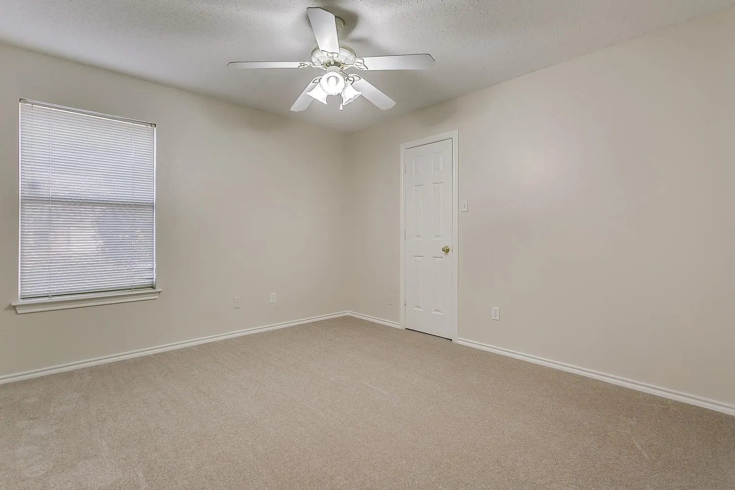 Neutral-toned walls complement the light-colored carpeting