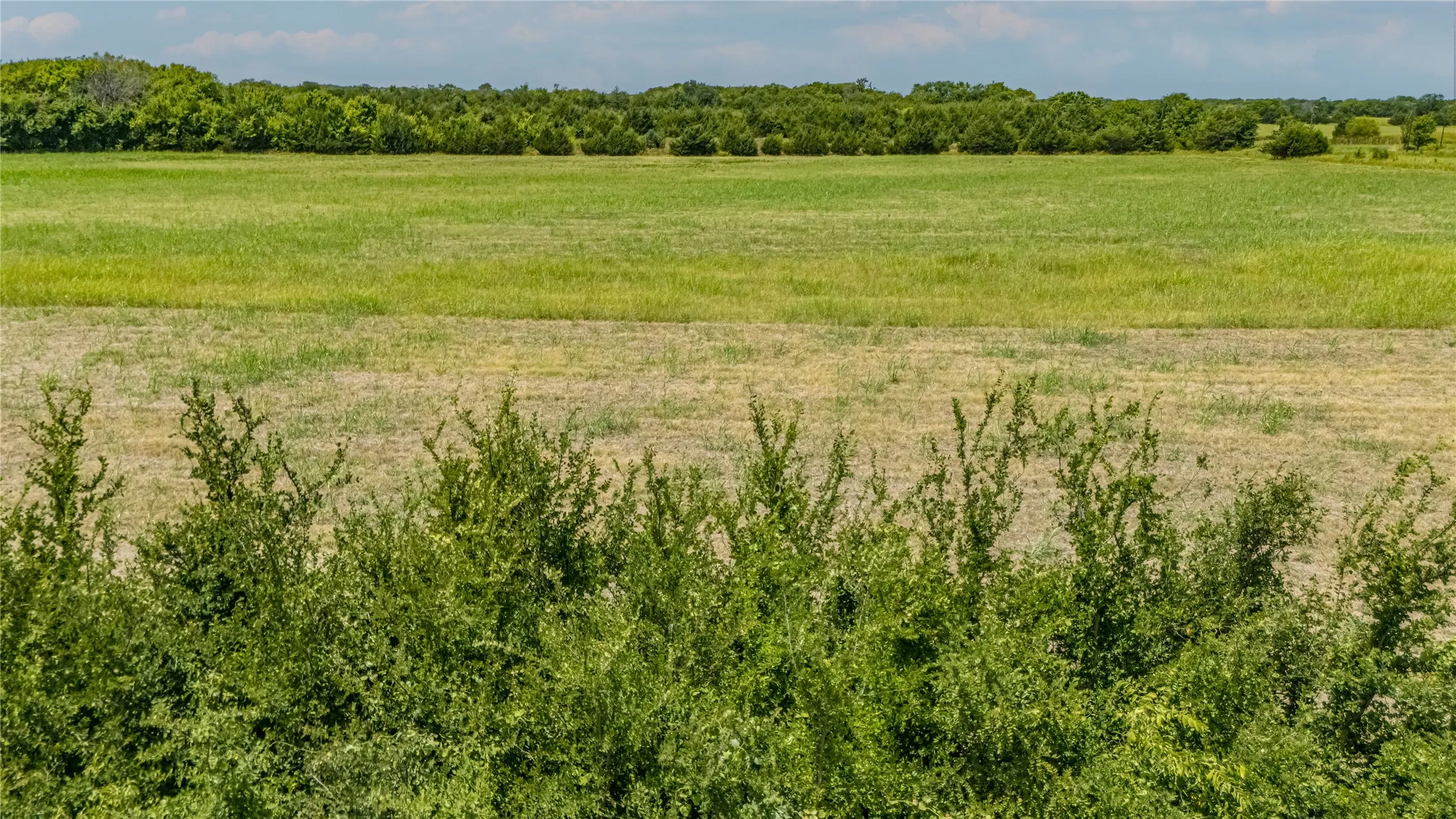 Expansive open fields with varied green and tan vegetation