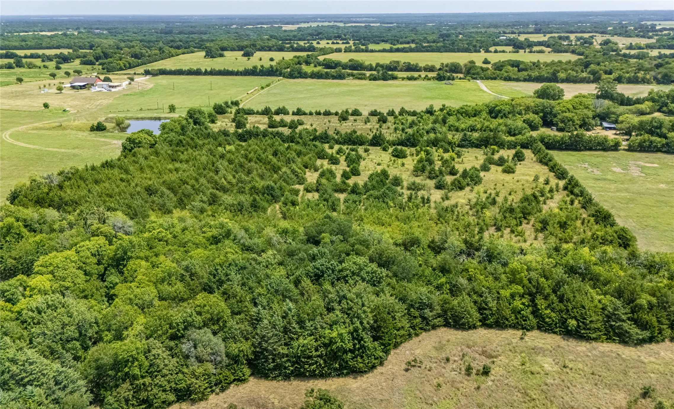 Expansive parcel featuring mature trees, open fields