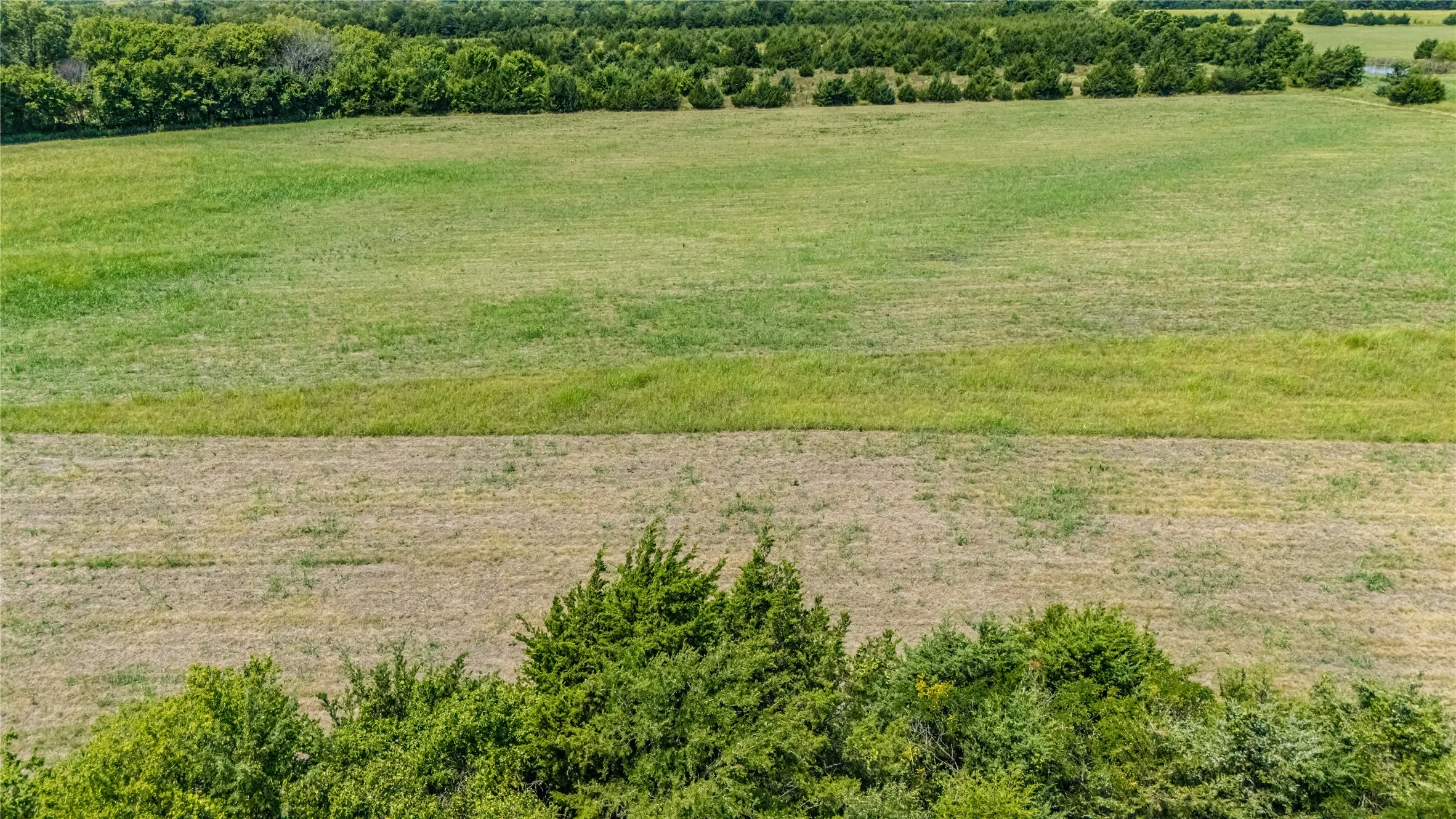 Hay Field