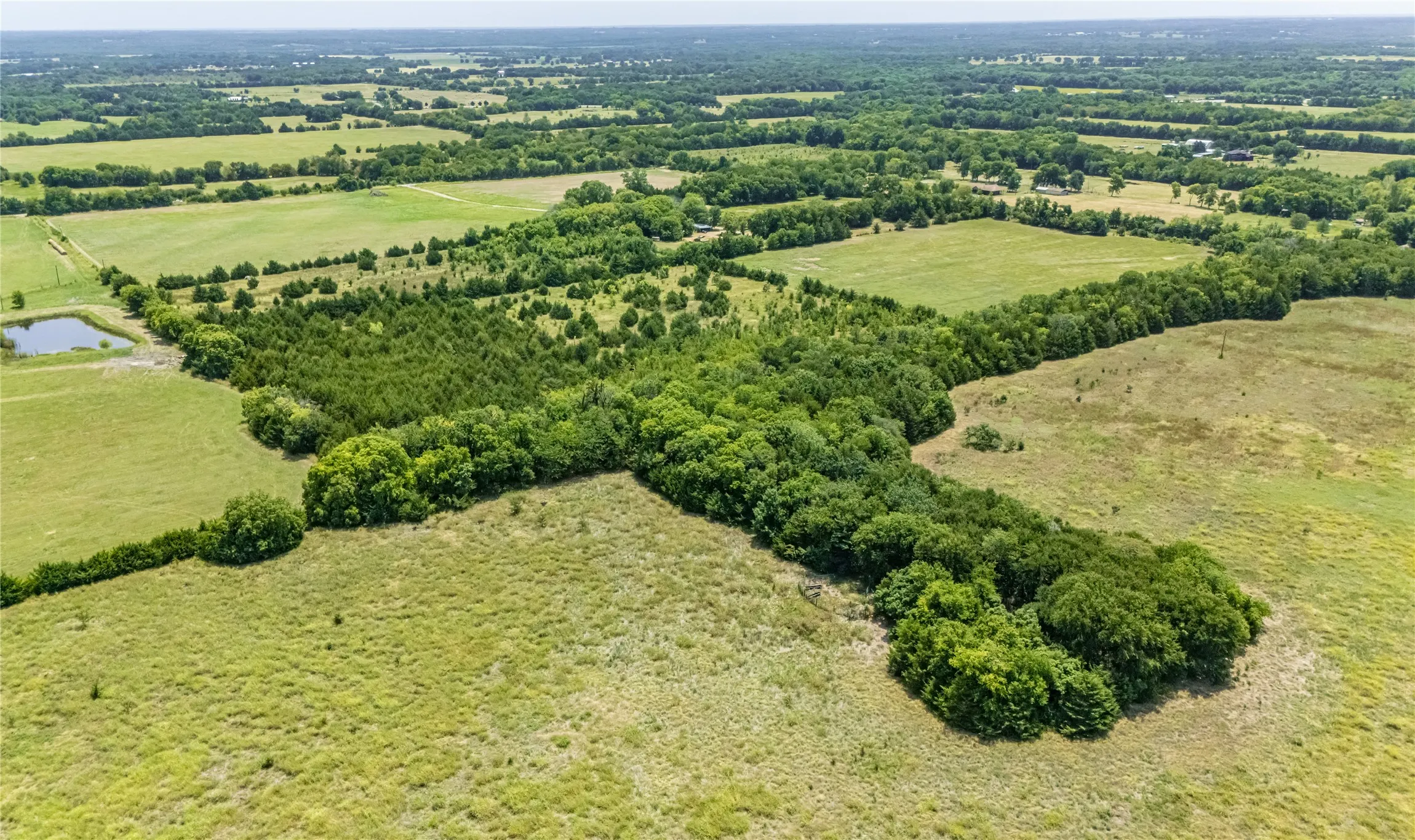 Expansive green fields, mature tree lines