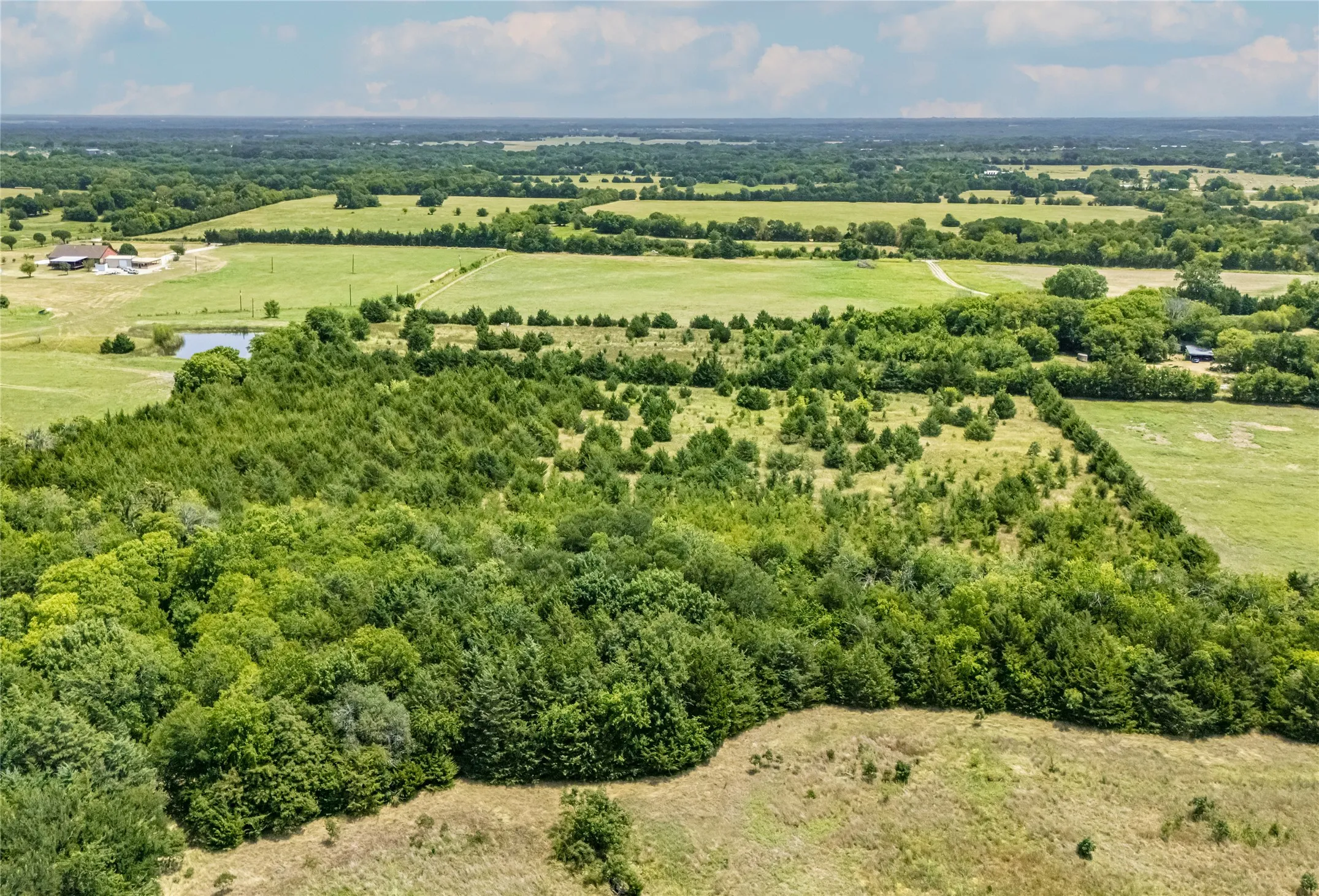 Expansive land parcel featuring diverse tree coverage