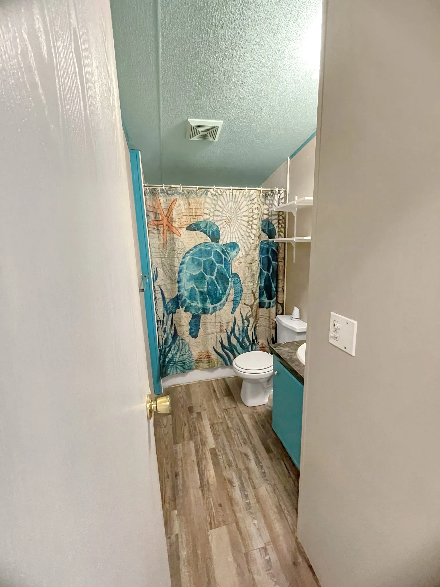Wood-finish flooring, built-in shelving, and a vanity with a countertop basin