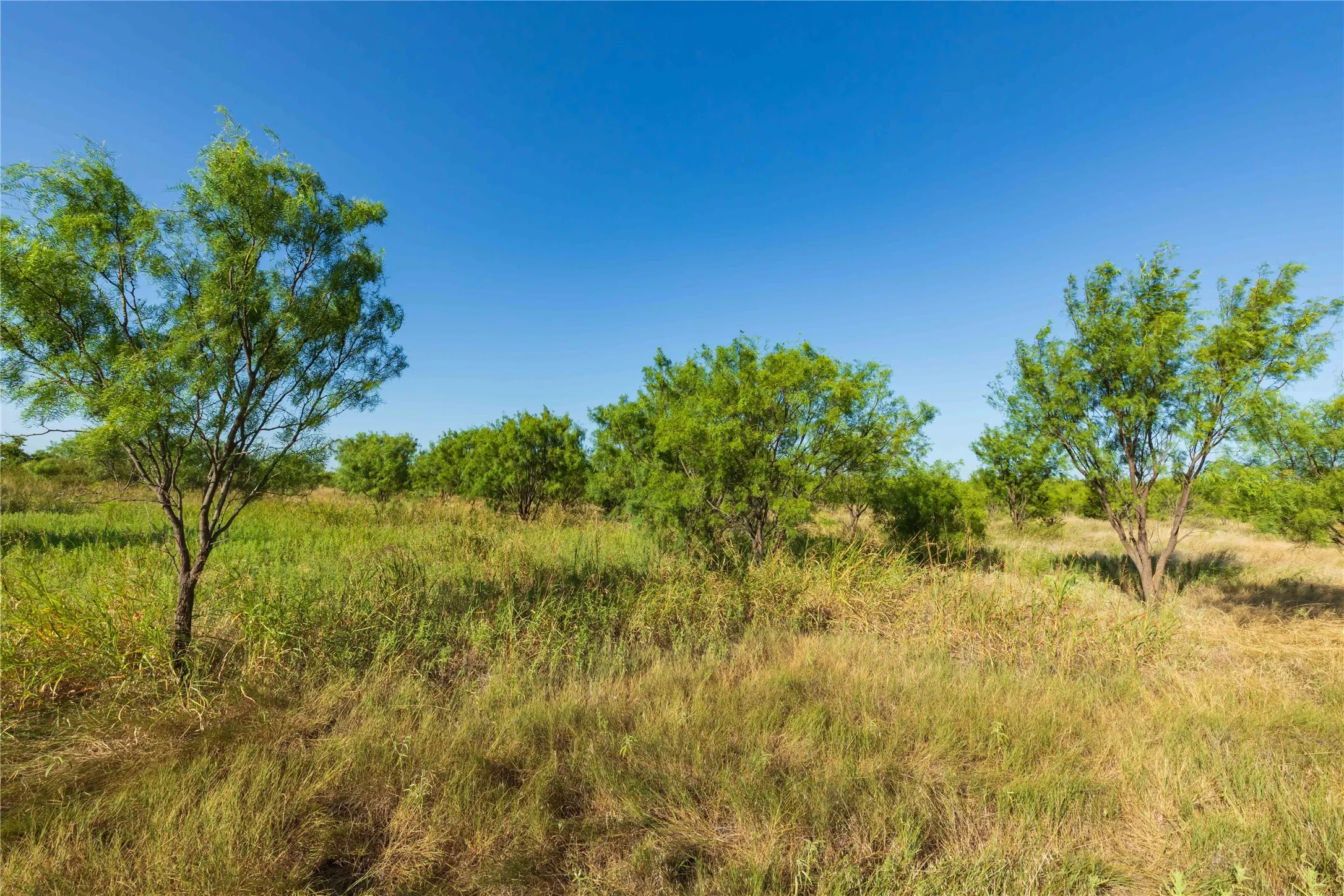 Unimproved Land For Sale in Taylor County , TBD HWY 83 CR 250 HWY 83, Ovalo, Texas 79541, 0, 0, Garage spaces, 0 Sqft, built in 0, mls#21356611, Real Estate Agent in Ovalo, Homes For Sale in Taylor county, Homes For Sale in Ovalo, Realtor in Ovalo Texas, Real Estate Brokerage Independent Realty Texas, Luminita Cordes Realtor