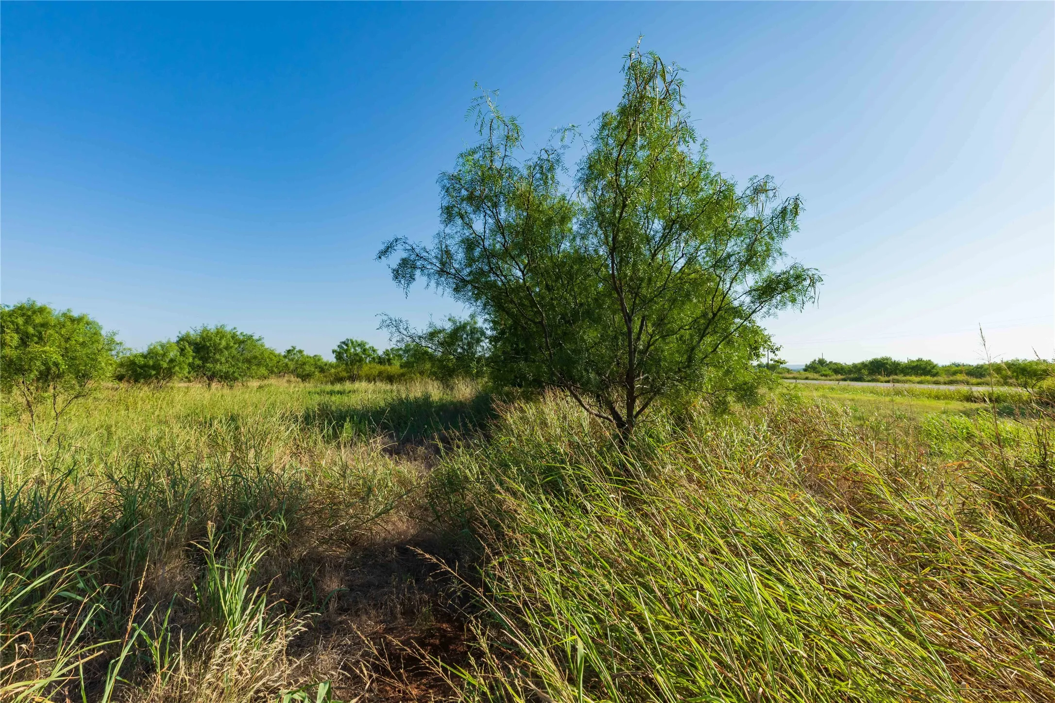 Unimproved Land For Sale in Taylor County , TBD HWY 83 CR 250 HWY 83, Ovalo, Texas 79541, 0, 0, Garage spaces, 0 Sqft, built in 0, mls#21356611, Real Estate Agent in Ovalo, Homes For Sale in Taylor county, Homes For Sale in Ovalo, Realtor in Ovalo Texas, Real Estate Brokerage Independent Realty Texas, Luminita Cordes Realtor
