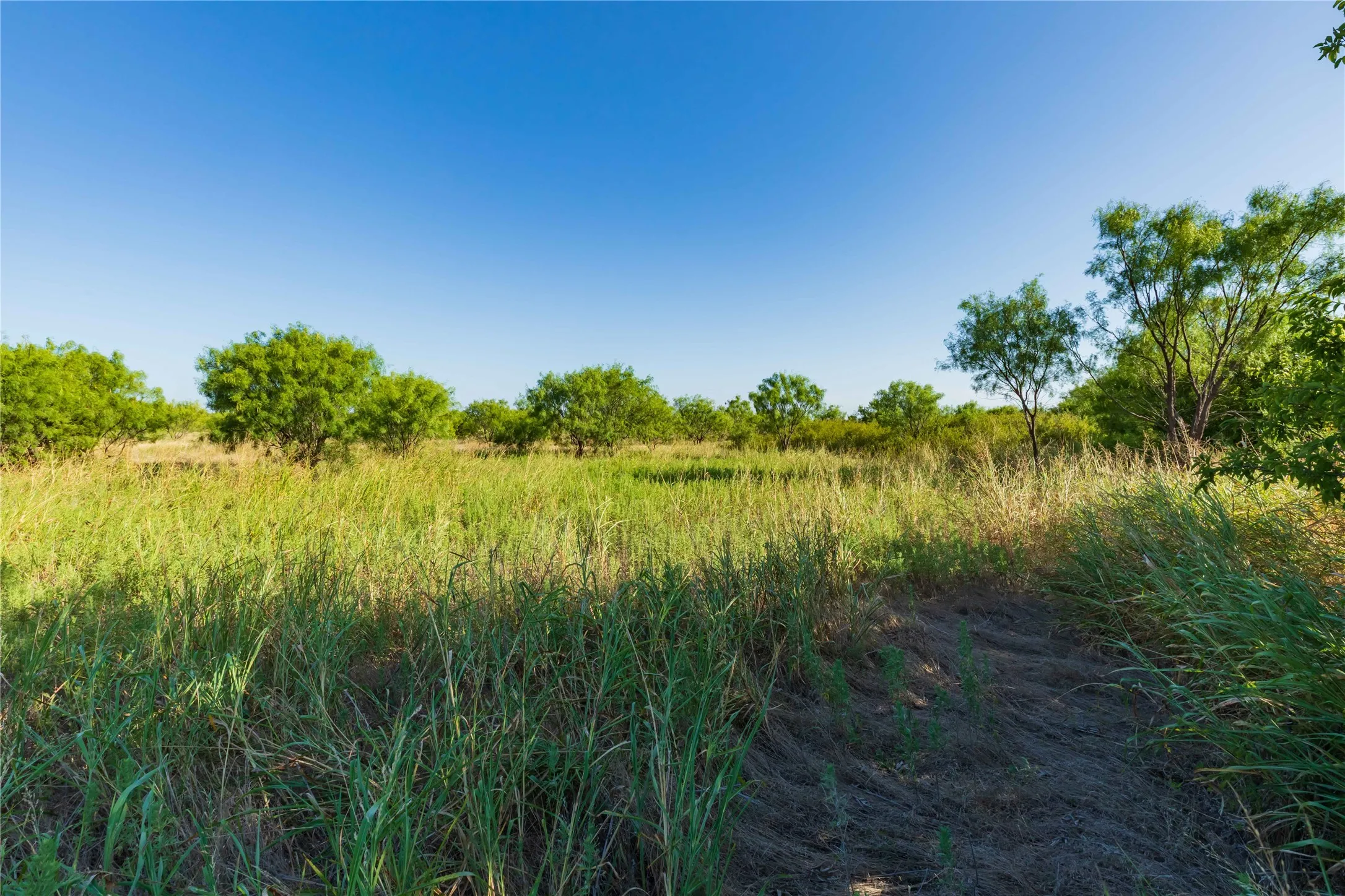 Unimproved Land For Sale in Taylor County , TBD HWY 83 CR 250 HWY 83, Ovalo, Texas 79541, 0, 0, Garage spaces, 0 Sqft, built in 0, mls#21356611, Real Estate Agent in Ovalo, Homes For Sale in Taylor county, Homes For Sale in Ovalo, Realtor in Ovalo Texas, Real Estate Brokerage Independent Realty Texas, Luminita Cordes Realtor