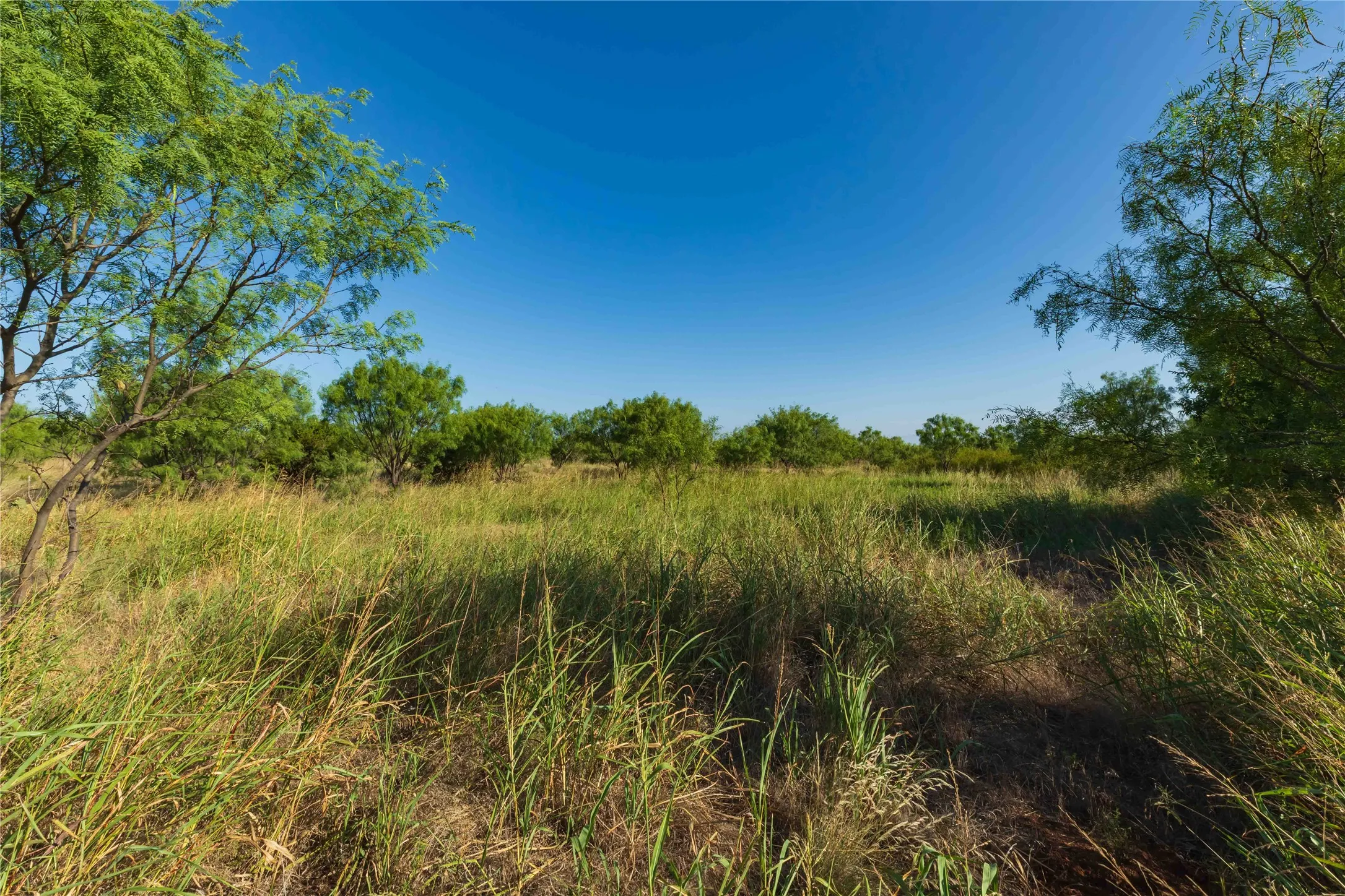 Unimproved Land For Sale in Taylor County , TBD HWY 83 CR 250 HWY 83, Ovalo, Texas 79541, 0, 0, Garage spaces, 0 Sqft, built in 0, mls#21356611, Real Estate Agent in Ovalo, Homes For Sale in Taylor county, Homes For Sale in Ovalo, Realtor in Ovalo Texas, Real Estate Brokerage Independent Realty Texas, Luminita Cordes Realtor