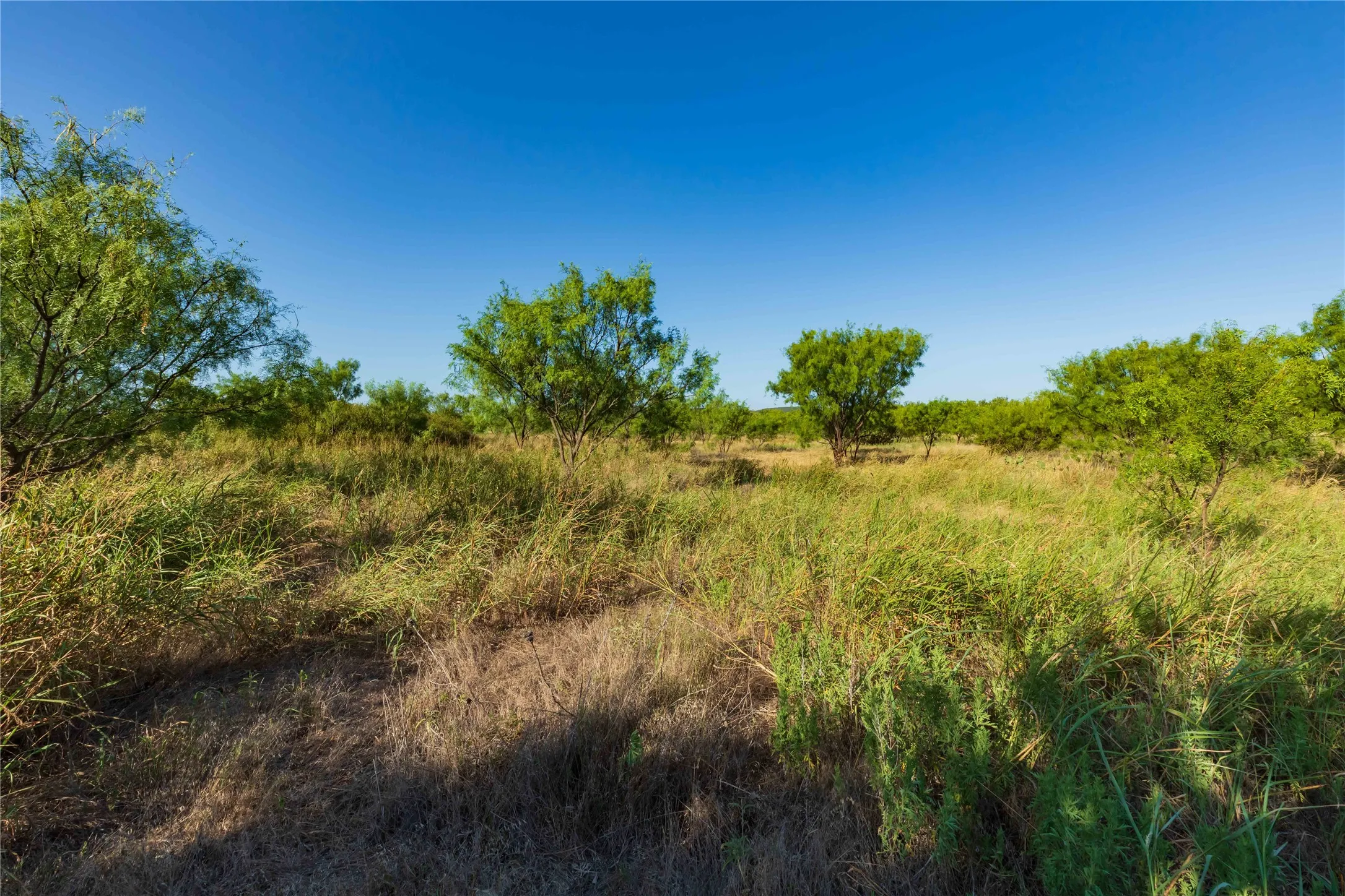 Unimproved Land For Sale in Taylor County , TBD HWY 83 CR 250 HWY 83, Ovalo, Texas 79541, 0, 0, Garage spaces, 0 Sqft, built in 0, mls#21356611, Real Estate Agent in Ovalo, Homes For Sale in Taylor county, Homes For Sale in Ovalo, Realtor in Ovalo Texas, Real Estate Brokerage Independent Realty Texas, Luminita Cordes Realtor