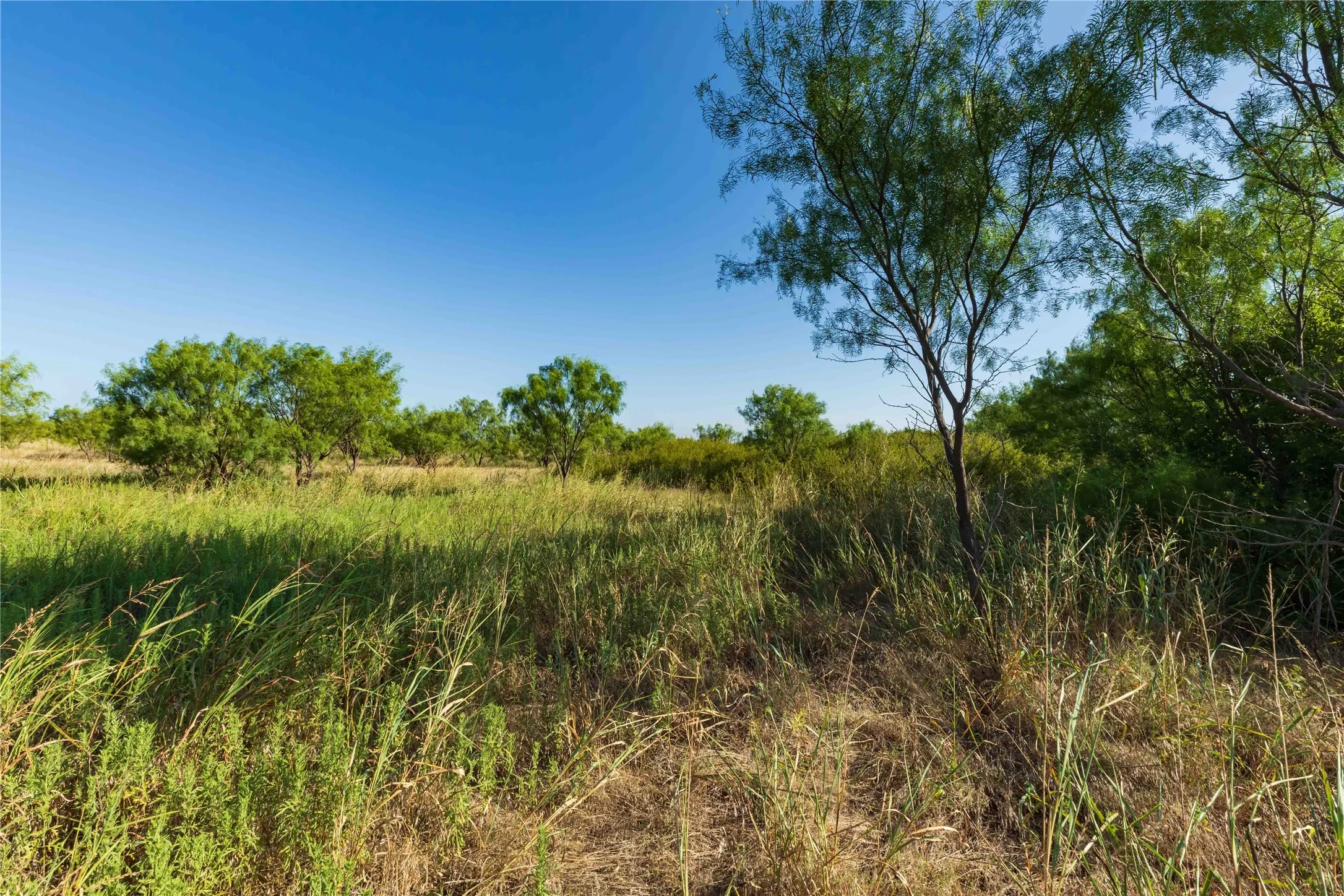 Unimproved Land For Sale in Taylor County , TBD HWY 83 CR 250 HWY 83, Ovalo, Texas 79541, 0, 0, Garage spaces, 0 Sqft, built in 0, mls#21356611, Real Estate Agent in Ovalo, Homes For Sale in Taylor county, Homes For Sale in Ovalo, Realtor in Ovalo Texas, Real Estate Brokerage Independent Realty Texas, Luminita Cordes Realtor