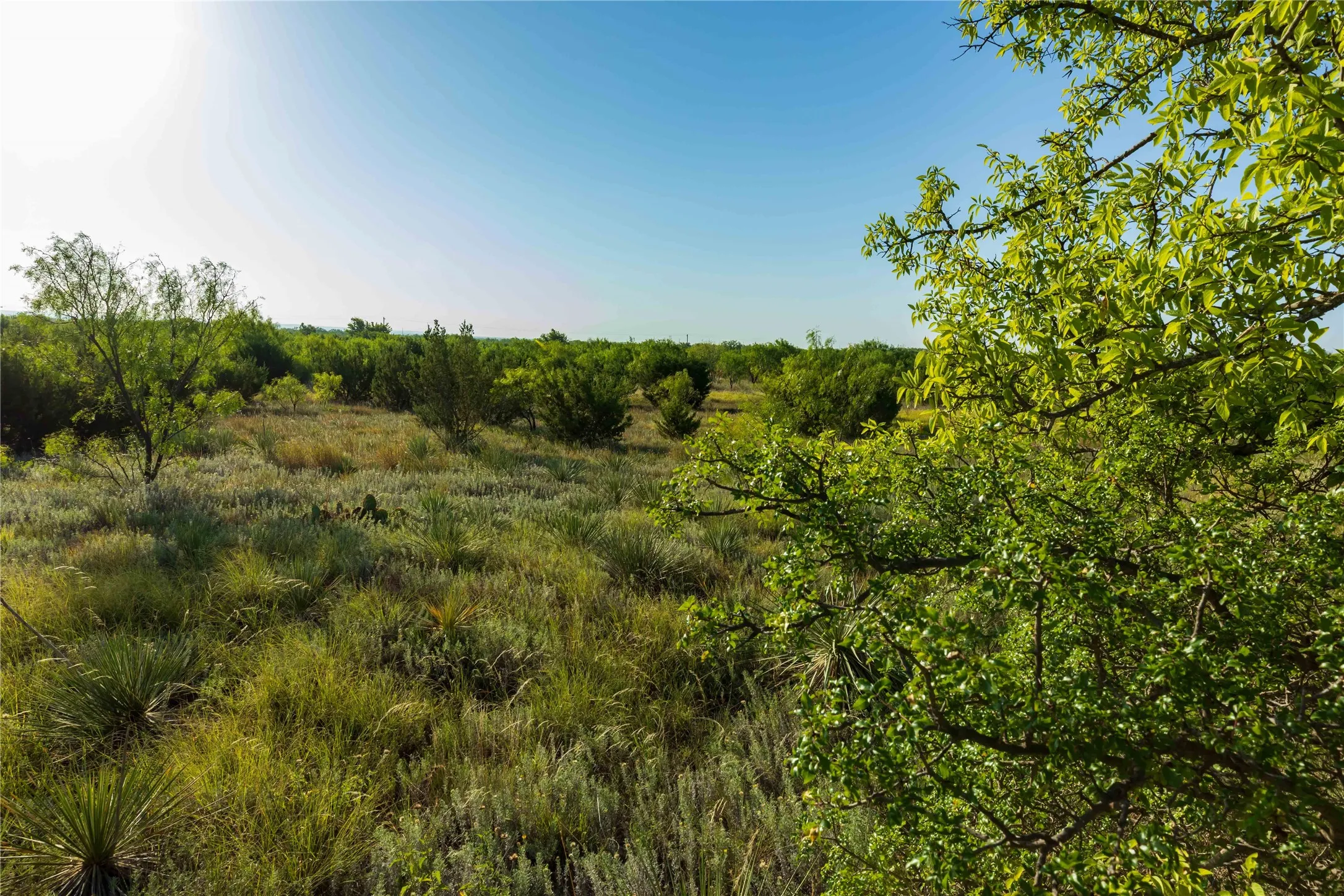 Unimproved Land For Sale in Taylor County , TBD HWY 83 CR 250 HWY 83, Ovalo, Texas 79541, 0, 0, Garage spaces, 0 Sqft, built in 0, mls#21356611, Real Estate Agent in Ovalo, Homes For Sale in Taylor county, Homes For Sale in Ovalo, Realtor in Ovalo Texas, Real Estate Brokerage Independent Realty Texas, Luminita Cordes Realtor
